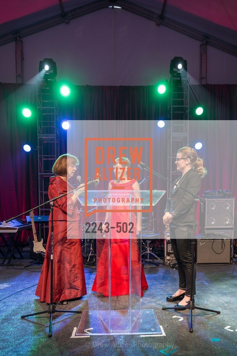 Paula Downey, 2014 RED CROSS Gala Honoring Paula Downey as the American Red Cross Bay Area Chapter Humanitarian CEO of the Year, US. Treasure Island (The Great Lawn), April 5th, 2014,Drew Altizer, Drew Altizer Photography, full-service event agency, private events, San Francisco photographer, photographer California