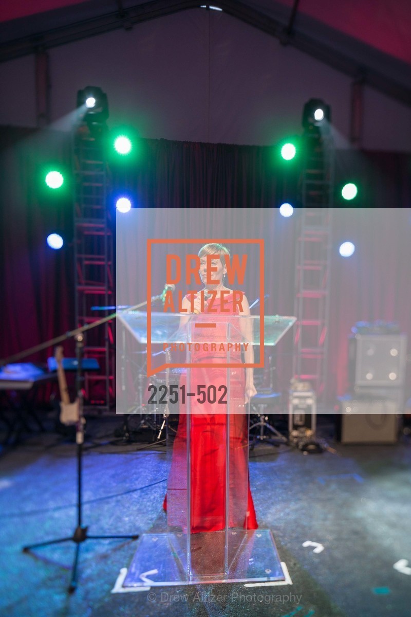 Paula Downey, 2014 RED CROSS Gala Honoring Paula Downey as the American Red Cross Bay Area Chapter Humanitarian CEO of the Year, US. Treasure Island (The Great Lawn), April 5th, 2014,Drew Altizer, Drew Altizer Photography, full-service agency, private events, San Francisco photographer, photographer california