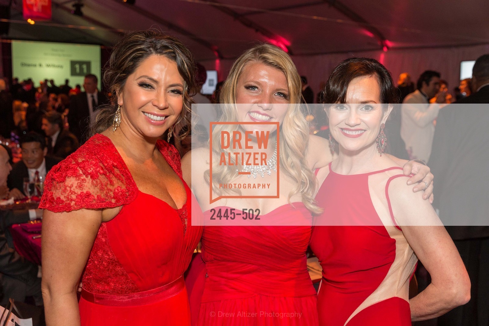 Maria Barrios, April Zickerson, V'Anne Singleton, 2014 RED CROSS Gala Honoring Paula Downey as the American Red Cross Bay Area Chapter Humanitarian CEO of the Year, US. Treasure Island (The Great Lawn), April 5th, 2014,Drew Altizer, Drew Altizer Photography, full-service event agency, private events, San Francisco photographer, photographer California