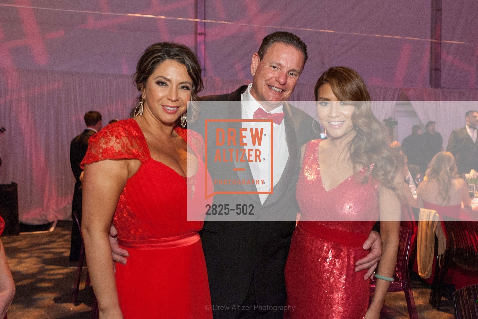 Maria Barrios, Richard Ehmer, Lillian Phan, 2014 RED CROSS Gala Honoring Paula Downey as the American Red Cross Bay Area Chapter Humanitarian CEO of the Year, US. Treasure Island (The Great Lawn), Photo #2825-502 Maria Barrios, Richard Ehmer, Lillian Phan, Photo #2825-502