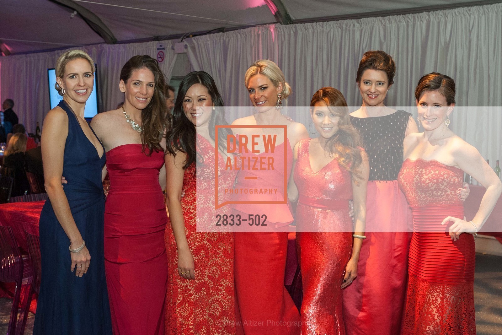 Christina Isetta, Susie Hall, Ye-Hui Liu, Colby Hallen, Lillian Phan, Kirsten Strobel, 2014 RED CROSS Gala Honoring Paula Downey as the American Red Cross Bay Area Chapter Humanitarian CEO of the Year, US. Treasure Island (The Great Lawn), April 5th, 2014,Drew Altizer, Drew Altizer Photography, full-service agency, private events, San Francisco photographer, photographer california