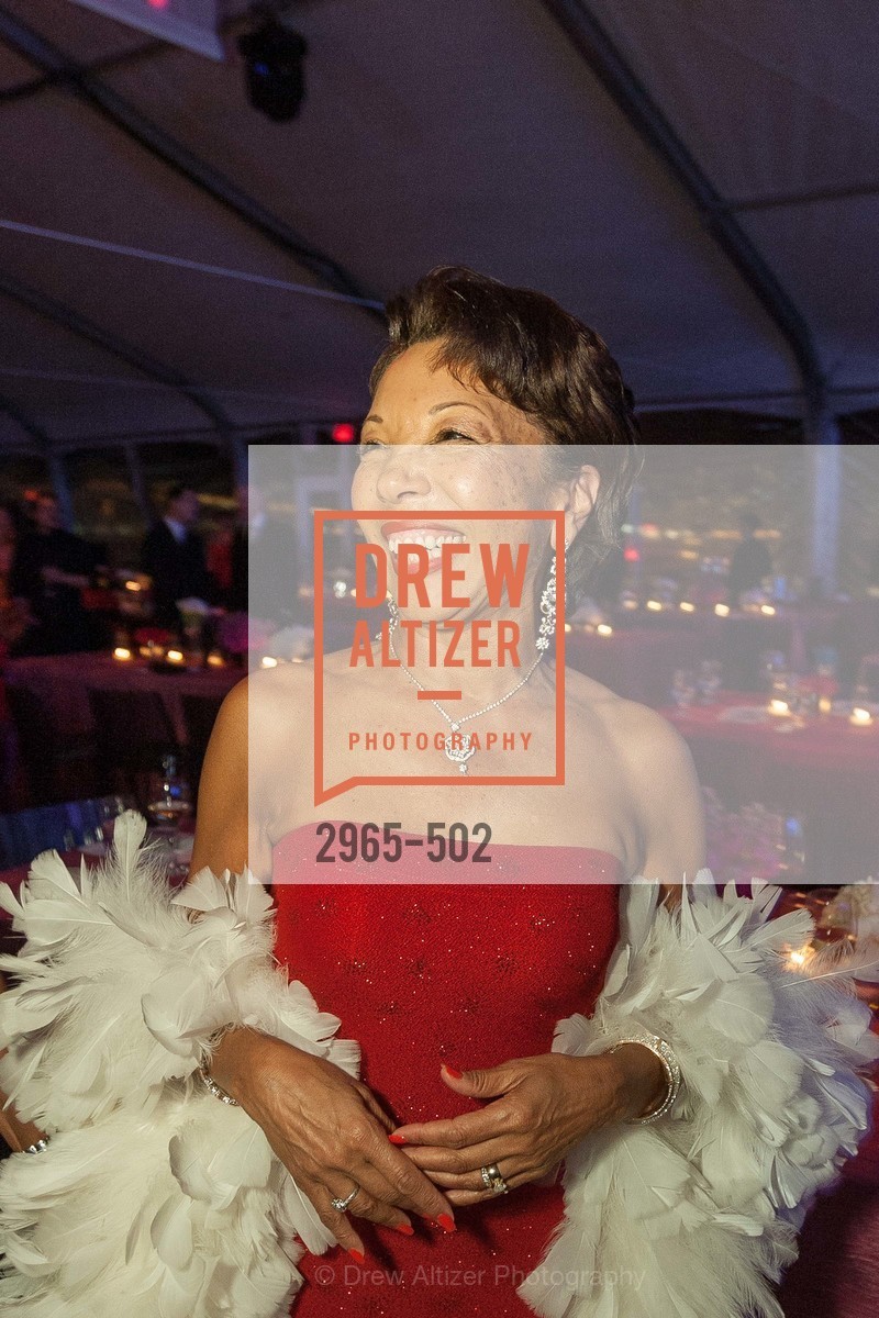 Caretha Coleman, 2014 RED CROSS Gala Honoring Paula Downey as the American Red Cross Bay Area Chapter Humanitarian CEO of the Year, US. Treasure Island (The Great Lawn), April 5th, 2014,Drew Altizer, Drew Altizer Photography, full-service agency, private events, San Francisco photographer, photographer california