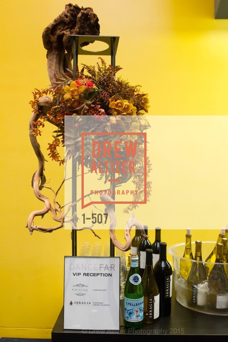 Atmosphere, Cancer Prevention Institute of California Presents DanceFAR, YBCA Theatre and Forum. 701 Mission Street, November 10th, 2015,Drew Altizer, Drew Altizer Photography, full-service agency, private events, San Francisco photographer, photographer california