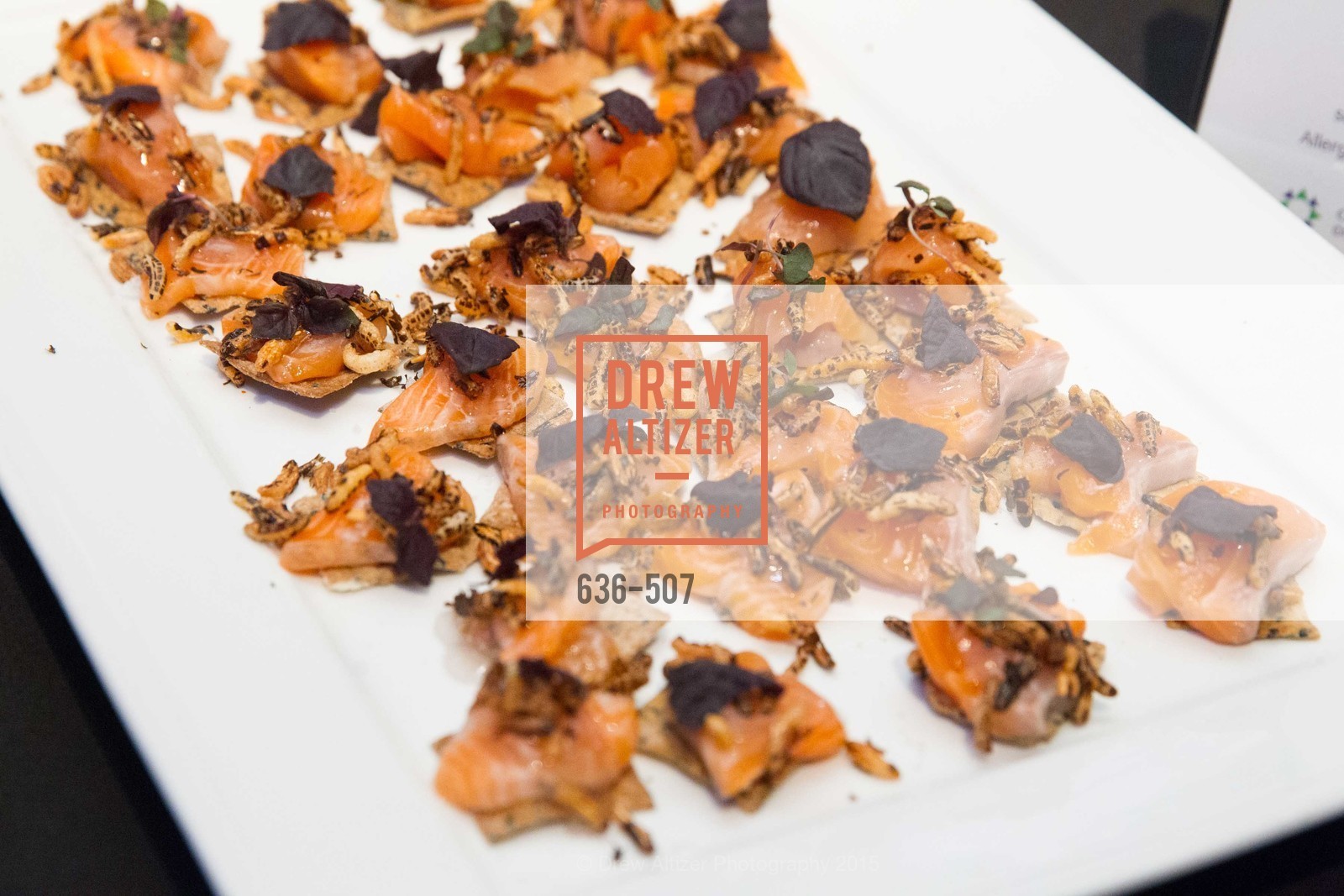 Atmosphere, Cancer Prevention Institute of California Presents DanceFAR, YBCA Theatre and Forum. 701 Mission Street, November 10th, 2015,Drew Altizer, Drew Altizer Photography, full-service agency, private events, San Francisco photographer, photographer california