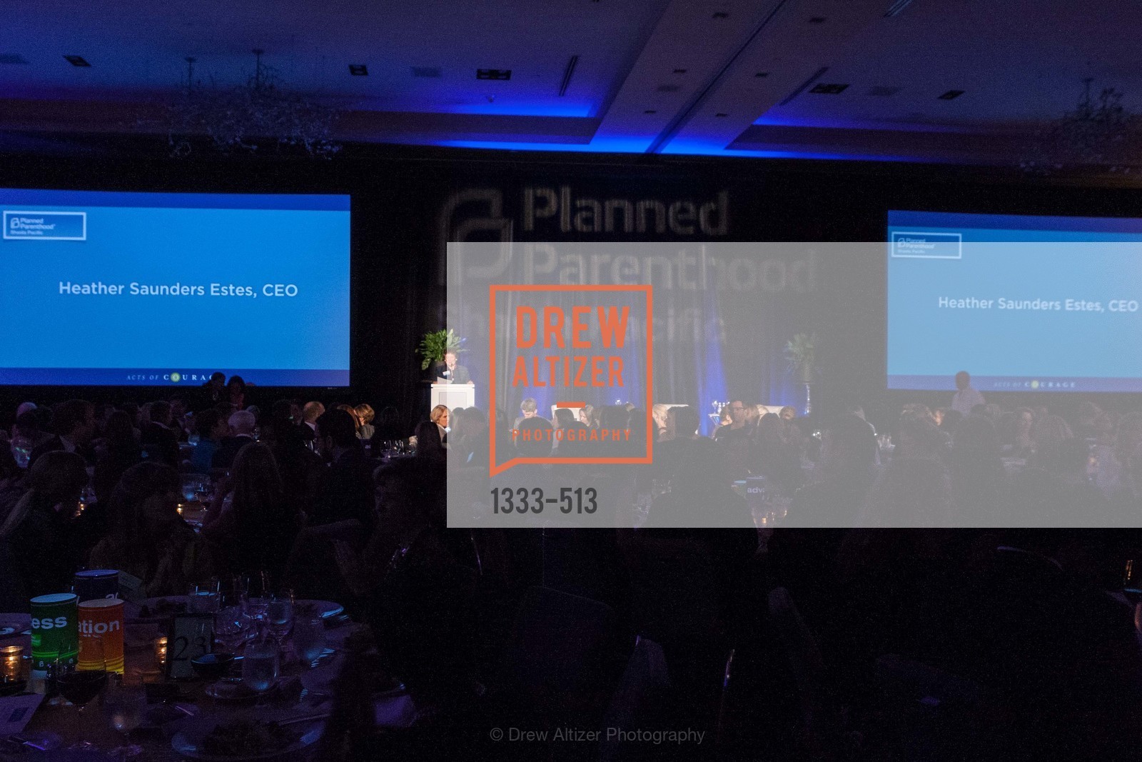 Heather Estes, PLANNED PARENTHOOD SHASTA PACIFIC Presents Acts of Courage, US. US, April 10th, 2014,Drew Altizer, Drew Altizer Photography, full-service agency, private events, San Francisco photographer, photographer california