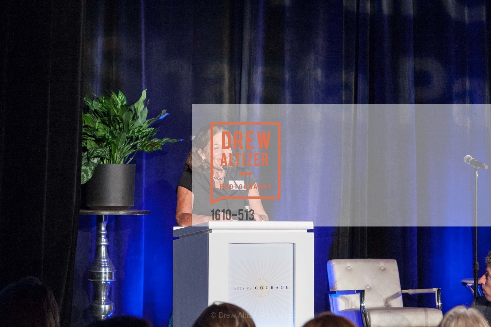 Suzy Narducci, PLANNED PARENTHOOD SHASTA PACIFIC Presents Acts of Courage, US. US, April 10th, 2014,Drew Altizer, Drew Altizer Photography, full-service agency, private events, San Francisco photographer, photographer california