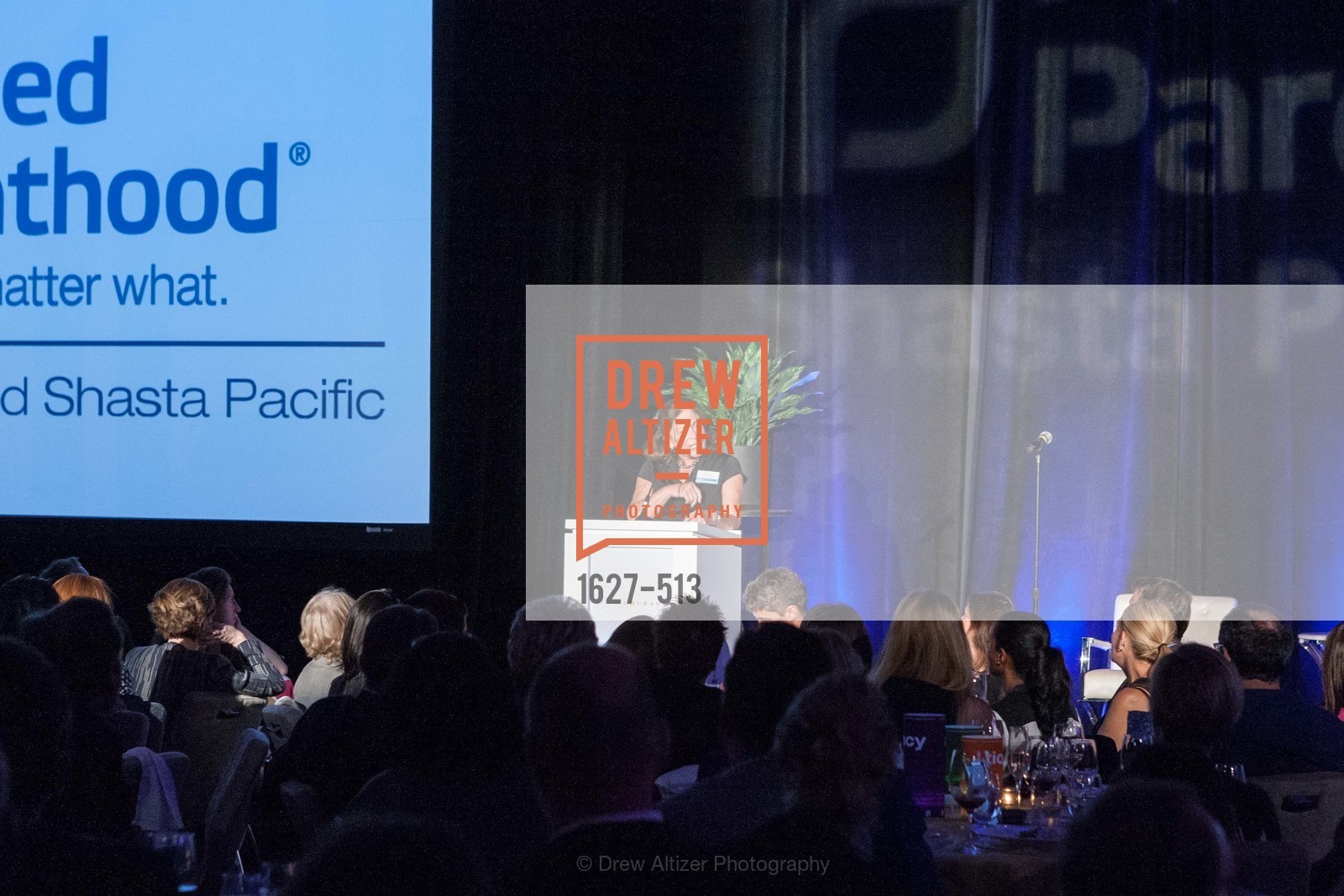 Suzy Narducci, PLANNED PARENTHOOD SHASTA PACIFIC Presents Acts of Courage, US. US, April 10th, 2014,Drew Altizer, Drew Altizer Photography, full-service agency, private events, San Francisco photographer, photographer california