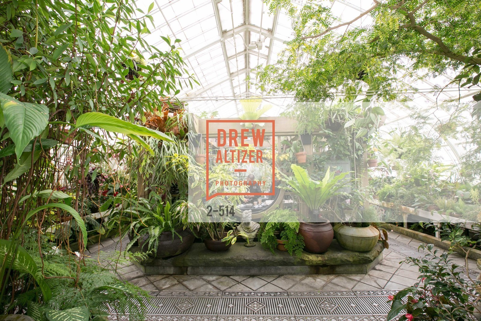 Atmosphere, SF Conservatory of Flowers - CHOMP They came from the swamp, US. US, April 10th, 2014,Drew Altizer, Drew Altizer Photography, full-service agency, private events, San Francisco photographer, photographer california