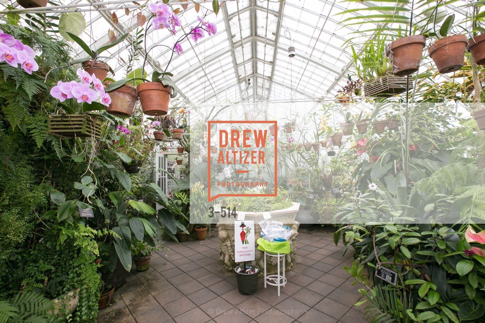 Atmosphere, SF Conservatory of Flowers - CHOMP They came from the swamp, US. US, April 10th, 2014,Drew Altizer, Drew Altizer Photography, full-service agency, private events, San Francisco photographer, photographer california