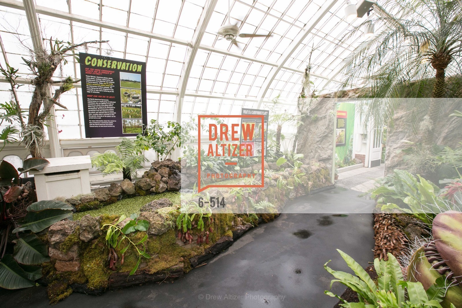 Atmosphere, SF Conservatory of Flowers - CHOMP They came from the swamp, US. US, April 10th, 2014,Drew Altizer, Drew Altizer Photography, full-service event agency, private events, San Francisco photographer, photographer California