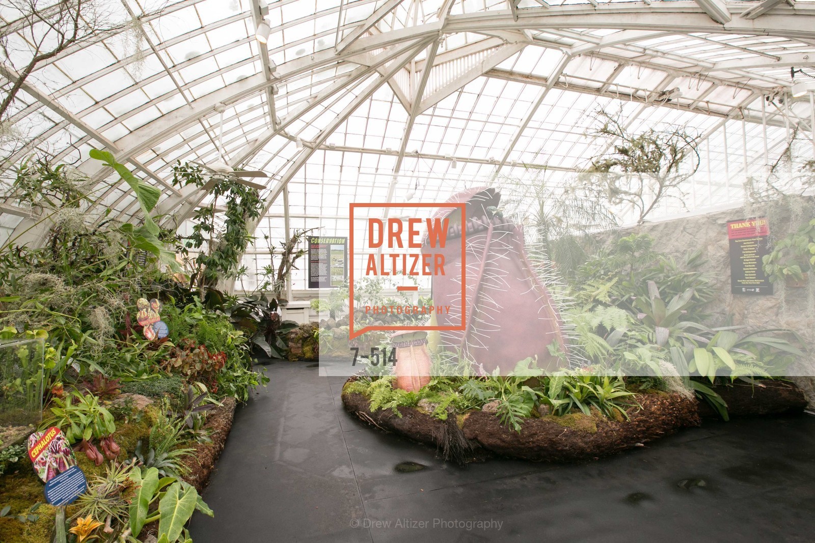 Atmosphere, SF Conservatory of Flowers - CHOMP They came from the swamp, US. US, April 10th, 2014,Drew Altizer, Drew Altizer Photography, full-service agency, private events, San Francisco photographer, photographer california