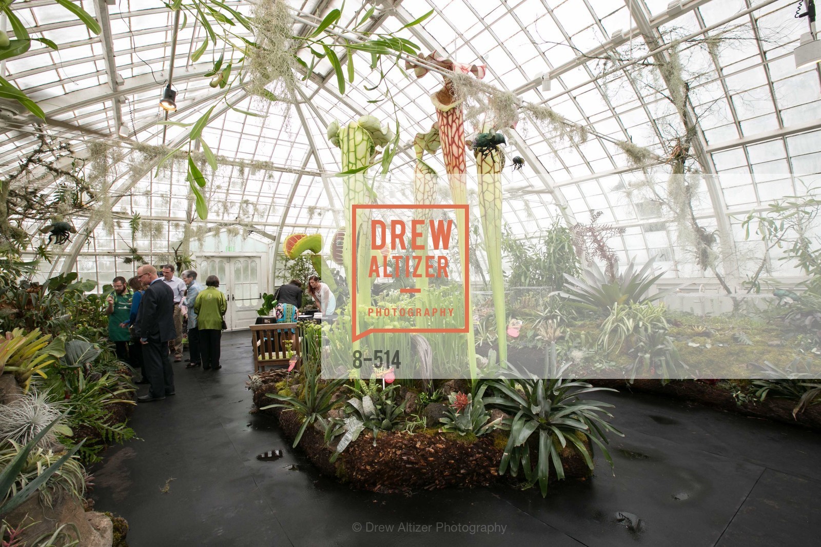 Atmosphere, SF Conservatory of Flowers - CHOMP They came from the swamp, US. US, April 10th, 2014,Drew Altizer, Drew Altizer Photography, full-service agency, private events, San Francisco photographer, photographer california