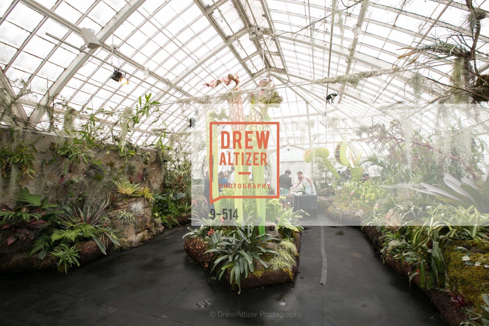 Atmosphere, SF Conservatory of Flowers - CHOMP They came from the swamp, US. US, April 10th, 2014,Drew Altizer, Drew Altizer Photography, full-service agency, private events, San Francisco photographer, photographer california