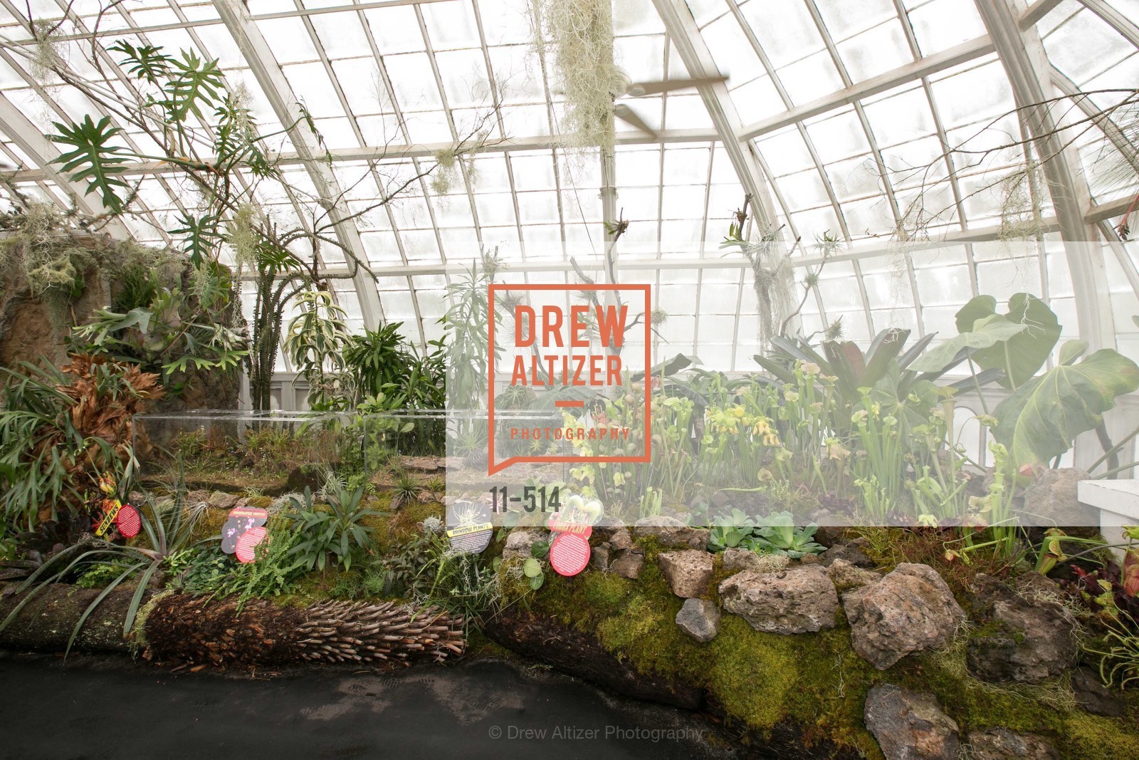 Atmosphere, SF Conservatory of Flowers - CHOMP They came from the swamp, US. US, April 10th, 2014,Drew Altizer, Drew Altizer Photography, full-service event agency, private events, San Francisco photographer, photographer California