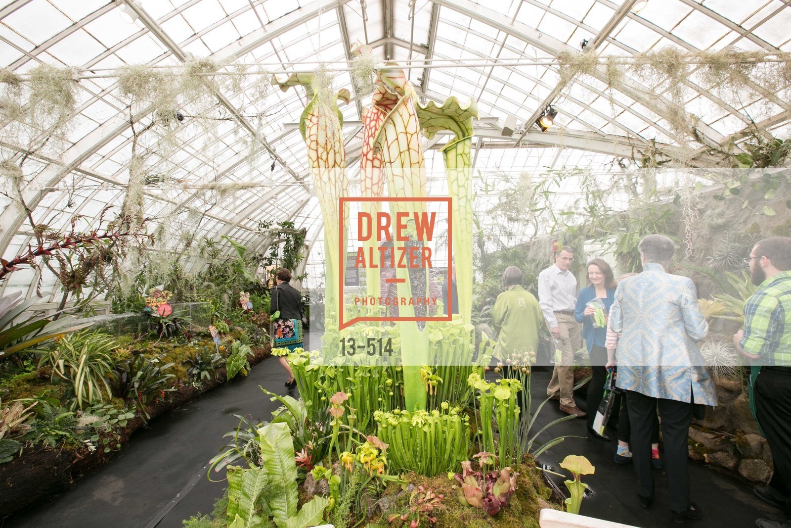 Atmosphere, SF Conservatory of Flowers - CHOMP They came from the swamp, US. US, April 10th, 2014,Drew Altizer, Drew Altizer Photography, full-service agency, private events, San Francisco photographer, photographer california