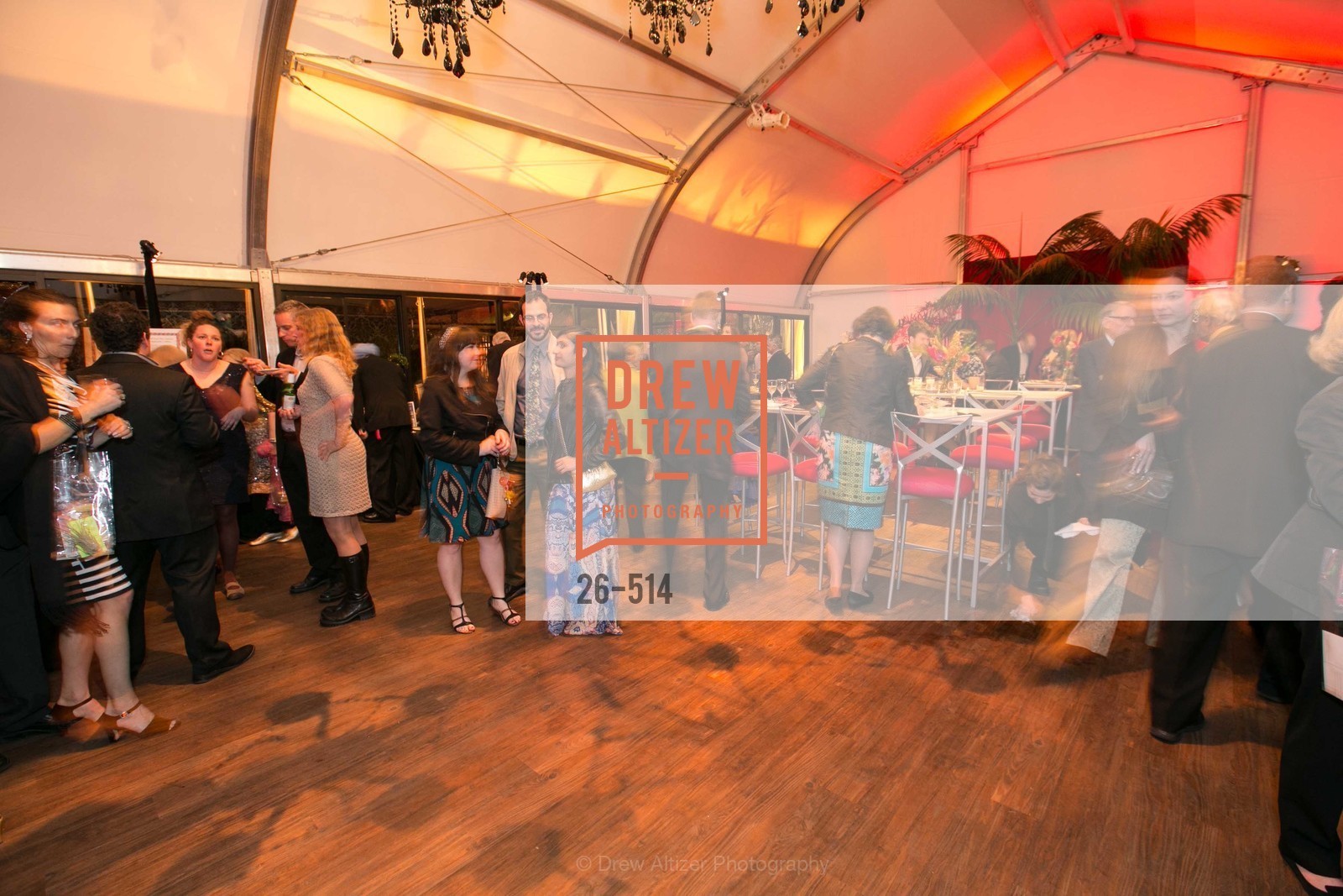 Atmosphere, SF Conservatory of Flowers - CHOMP They came from the swamp, US. US, April 10th, 2014,Drew Altizer, Drew Altizer Photography, full-service agency, private events, San Francisco photographer, photographer california