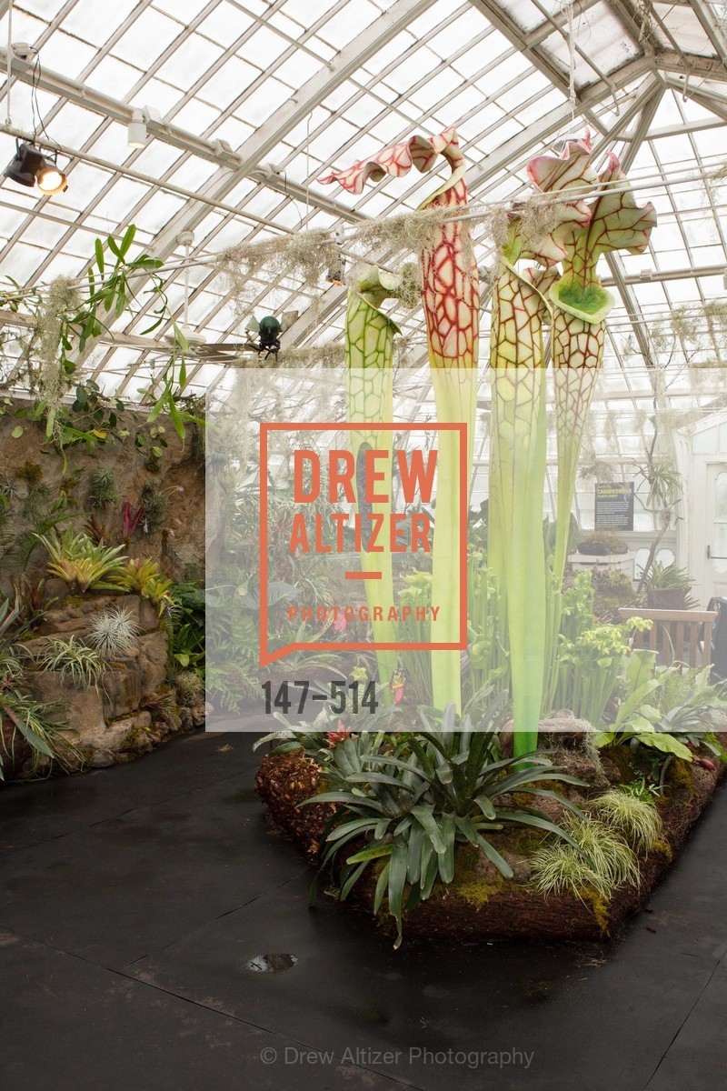 Atmosphere, SF Conservatory of Flowers - CHOMP They came from the swamp, US. US, April 10th, 2014,Drew Altizer, Drew Altizer Photography, full-service agency, private events, San Francisco photographer, photographer california