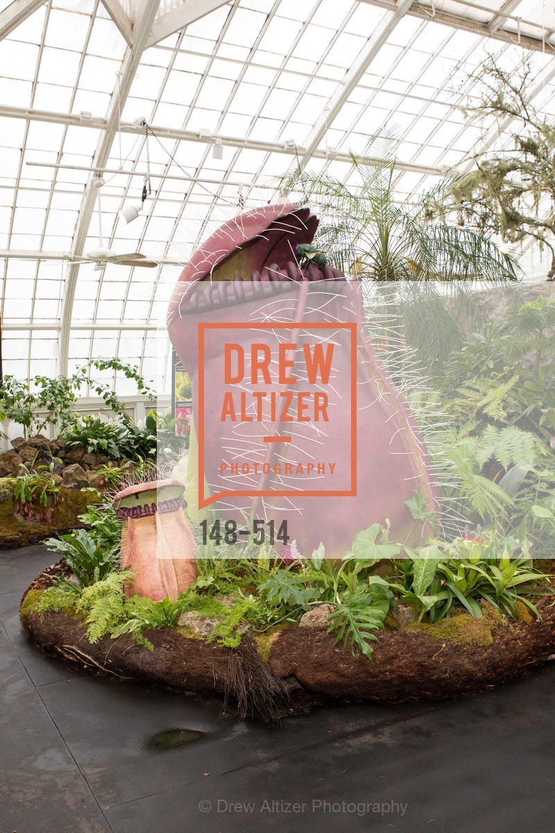 Atmosphere, SF Conservatory of Flowers - CHOMP They came from the swamp, US. US, April 10th, 2014,Drew Altizer, Drew Altizer Photography, full-service agency, private events, San Francisco photographer, photographer california