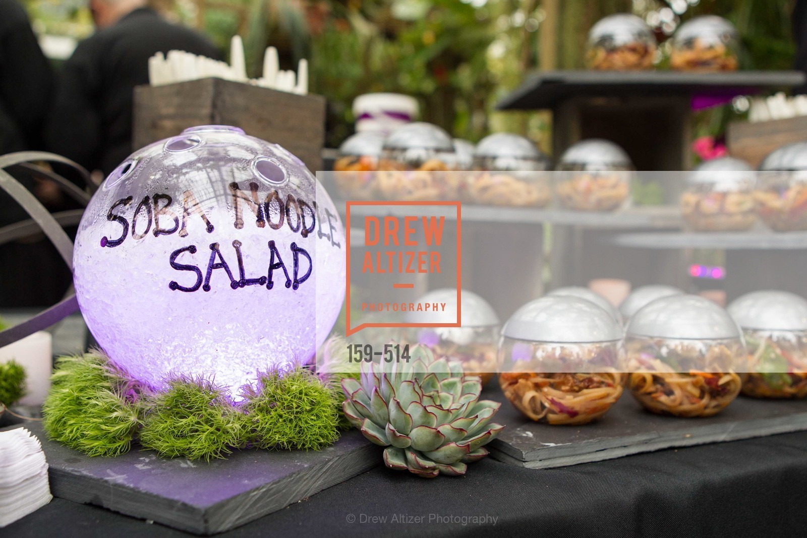 Atmosphere, SF Conservatory of Flowers - CHOMP They came from the swamp, US. US, April 10th, 2014,Drew Altizer, Drew Altizer Photography, full-service agency, private events, San Francisco photographer, photographer california