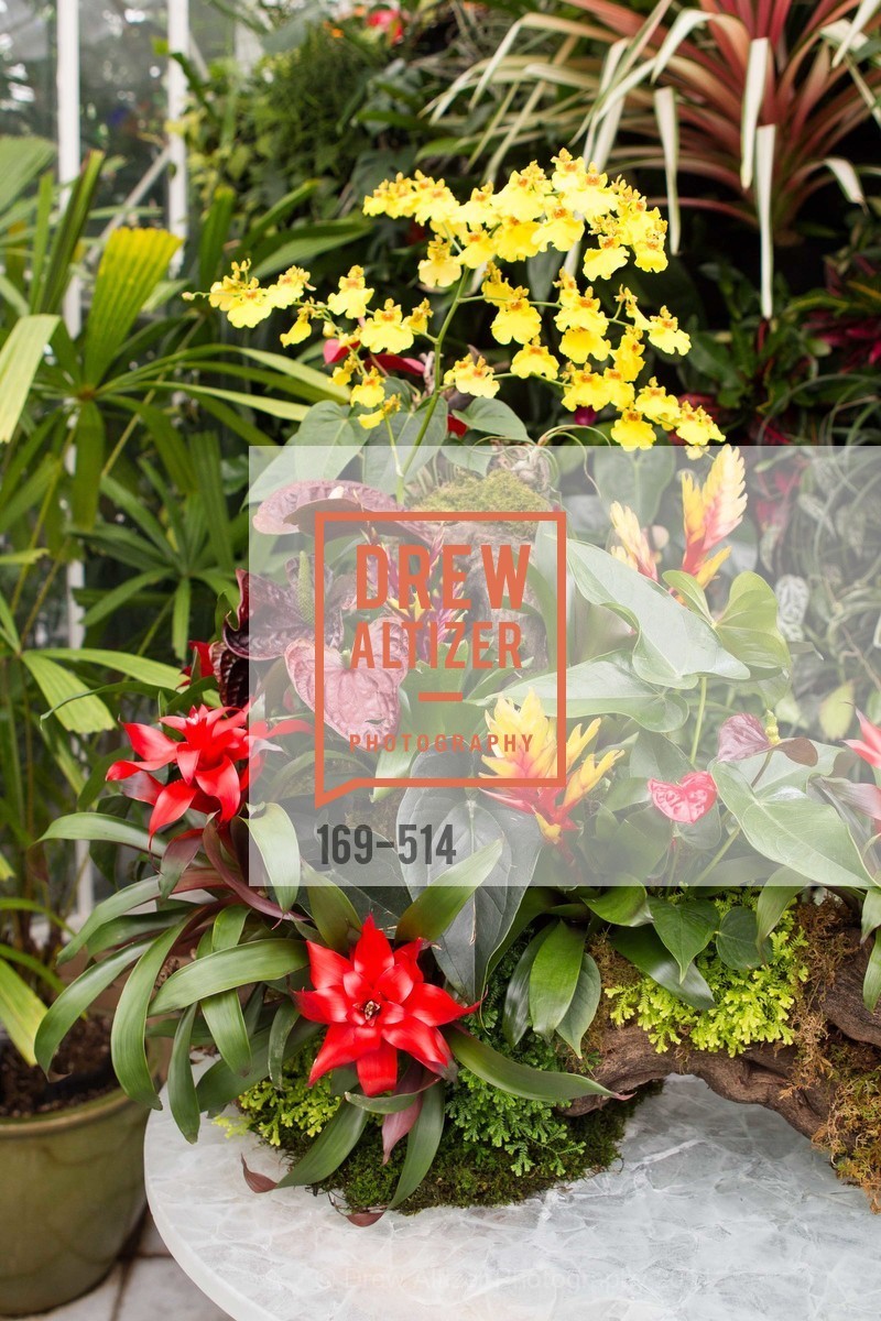Atmosphere, SF Conservatory of Flowers - CHOMP They came from the swamp, US. US, April 10th, 2014,Drew Altizer, Drew Altizer Photography, full-service agency, private events, San Francisco photographer, photographer california