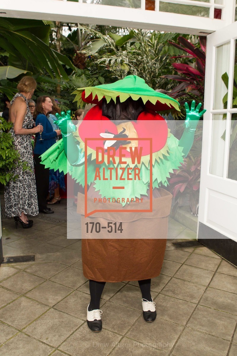 Atmosphere, SF Conservatory of Flowers - CHOMP They came from the swamp, US. US, April 10th, 2014,Drew Altizer, Drew Altizer Photography, full-service event agency, private events, San Francisco photographer, photographer California