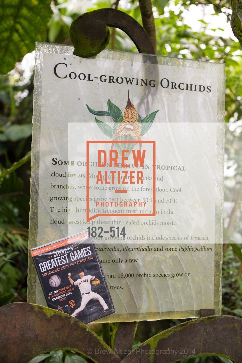 Atmosphere, SF Conservatory of Flowers - CHOMP They came from the swamp, US. US, April 10th, 2014,Drew Altizer, Drew Altizer Photography, full-service agency, private events, San Francisco photographer, photographer california