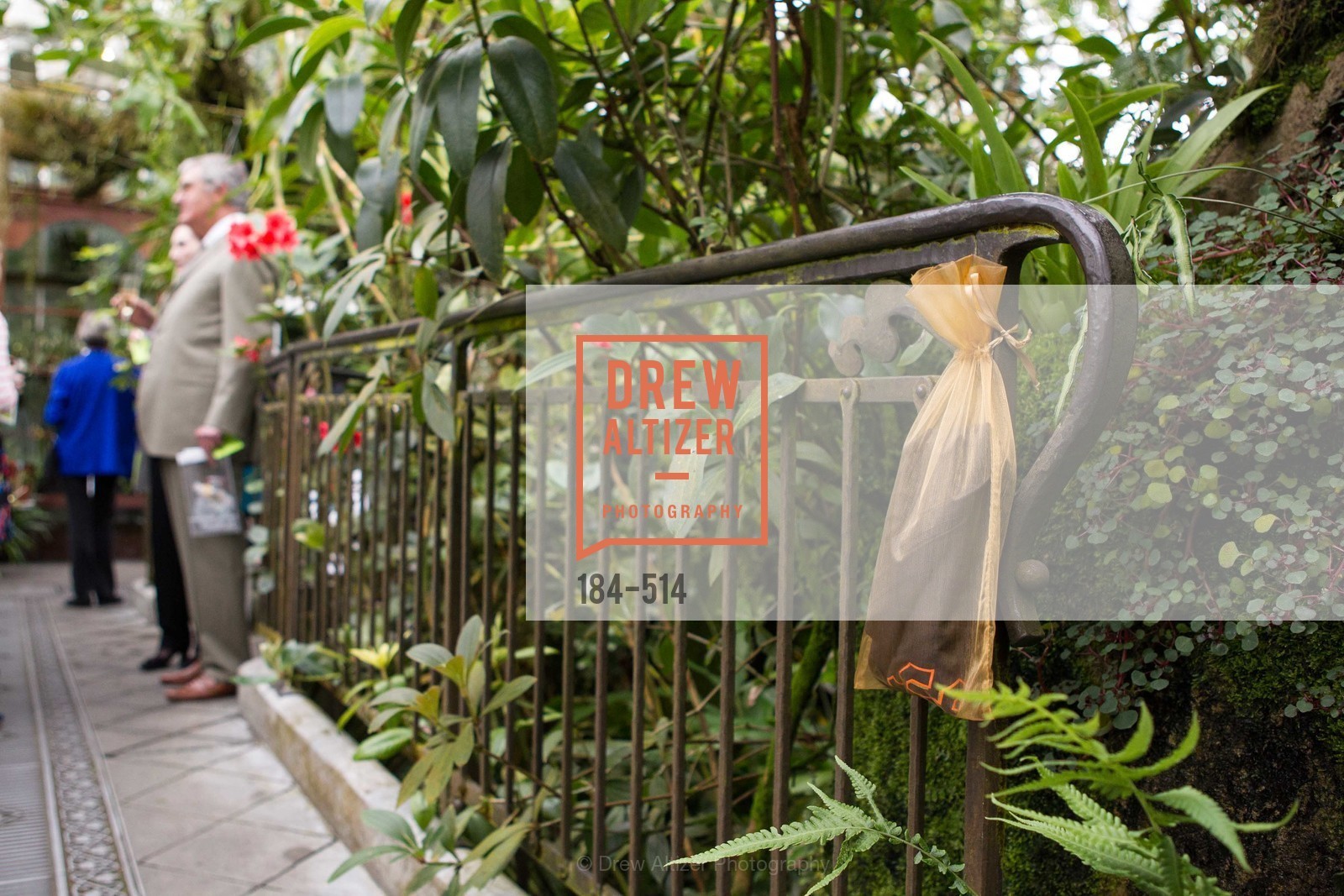 Atmosphere, SF Conservatory of Flowers - CHOMP They came from the swamp, US. US, April 10th, 2014,Drew Altizer, Drew Altizer Photography, full-service agency, private events, San Francisco photographer, photographer california