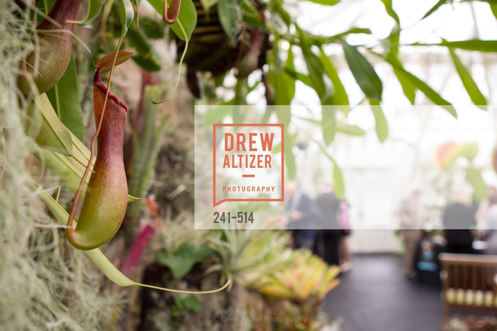 Atmosphere, SF Conservatory of Flowers - CHOMP They came from the swamp, US. US, April 10th, 2014,Drew Altizer, Drew Altizer Photography, full-service agency, private events, San Francisco photographer, photographer california