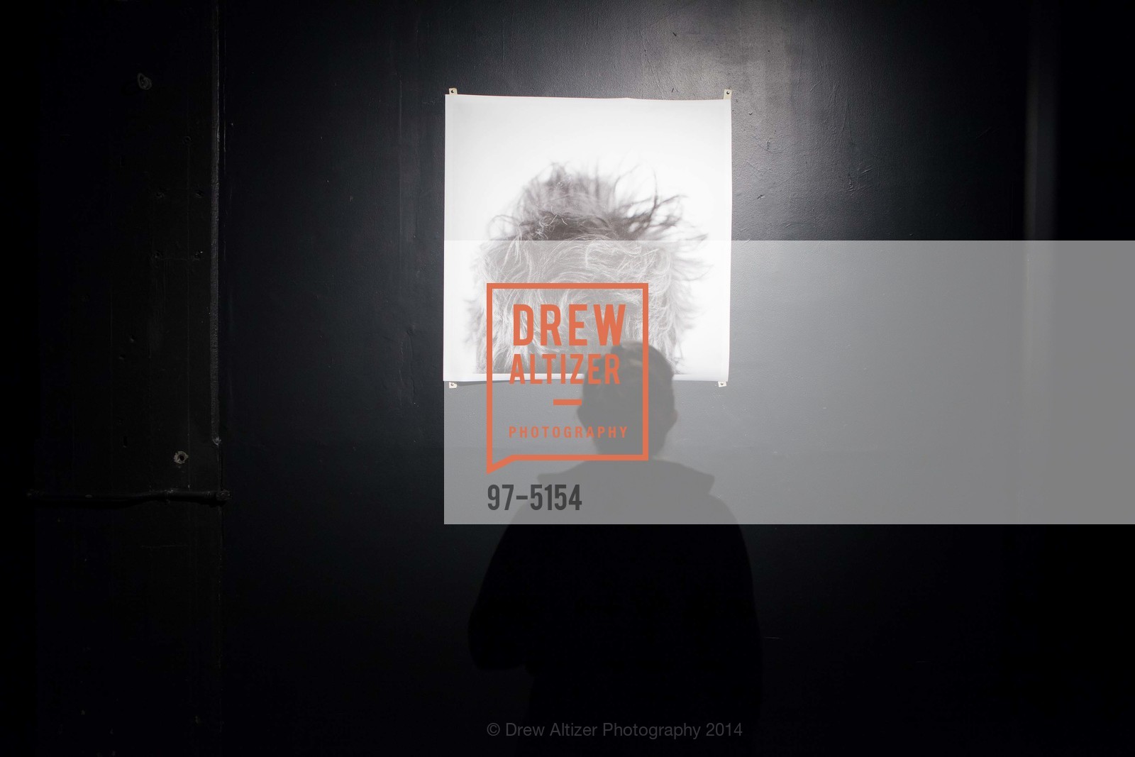 Atmosphere, Z SPACE GALLERY Opening, US, November 7th, 2014, Photo #97-5154 Atmosphere, Photo #97-5154