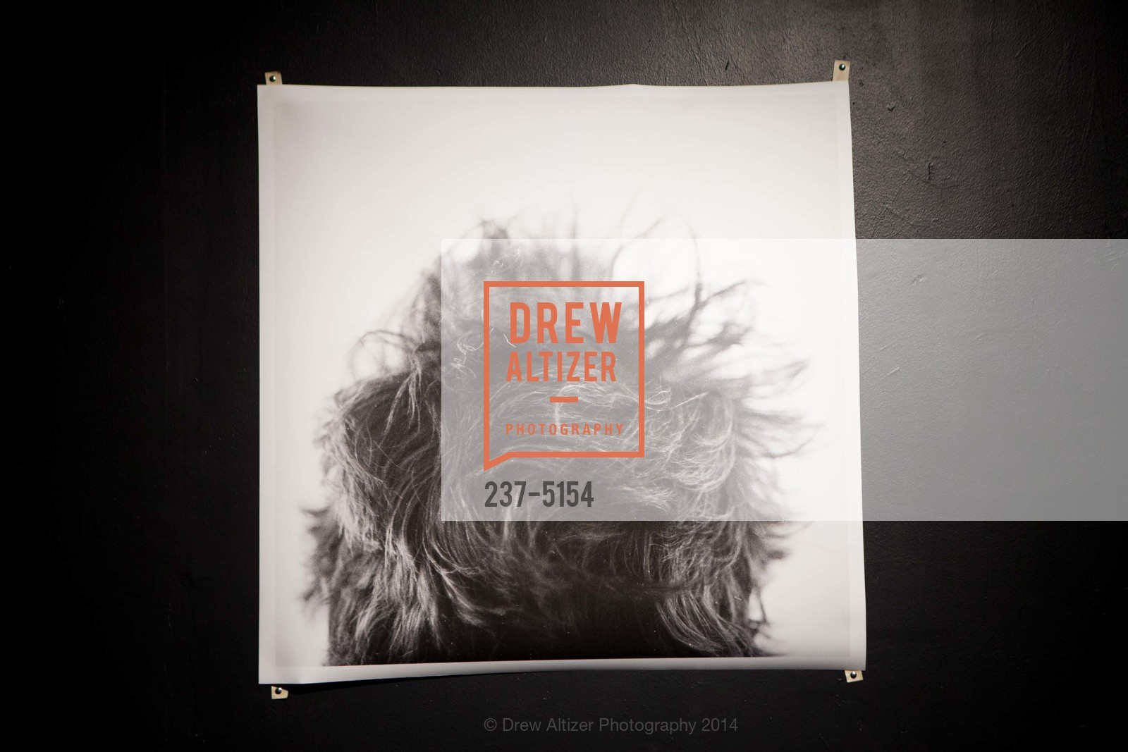 Atmosphere, Z SPACE GALLERY Opening, US, November 7th, 2014, Photo #237-5154 Atmosphere, Photo #237-5154