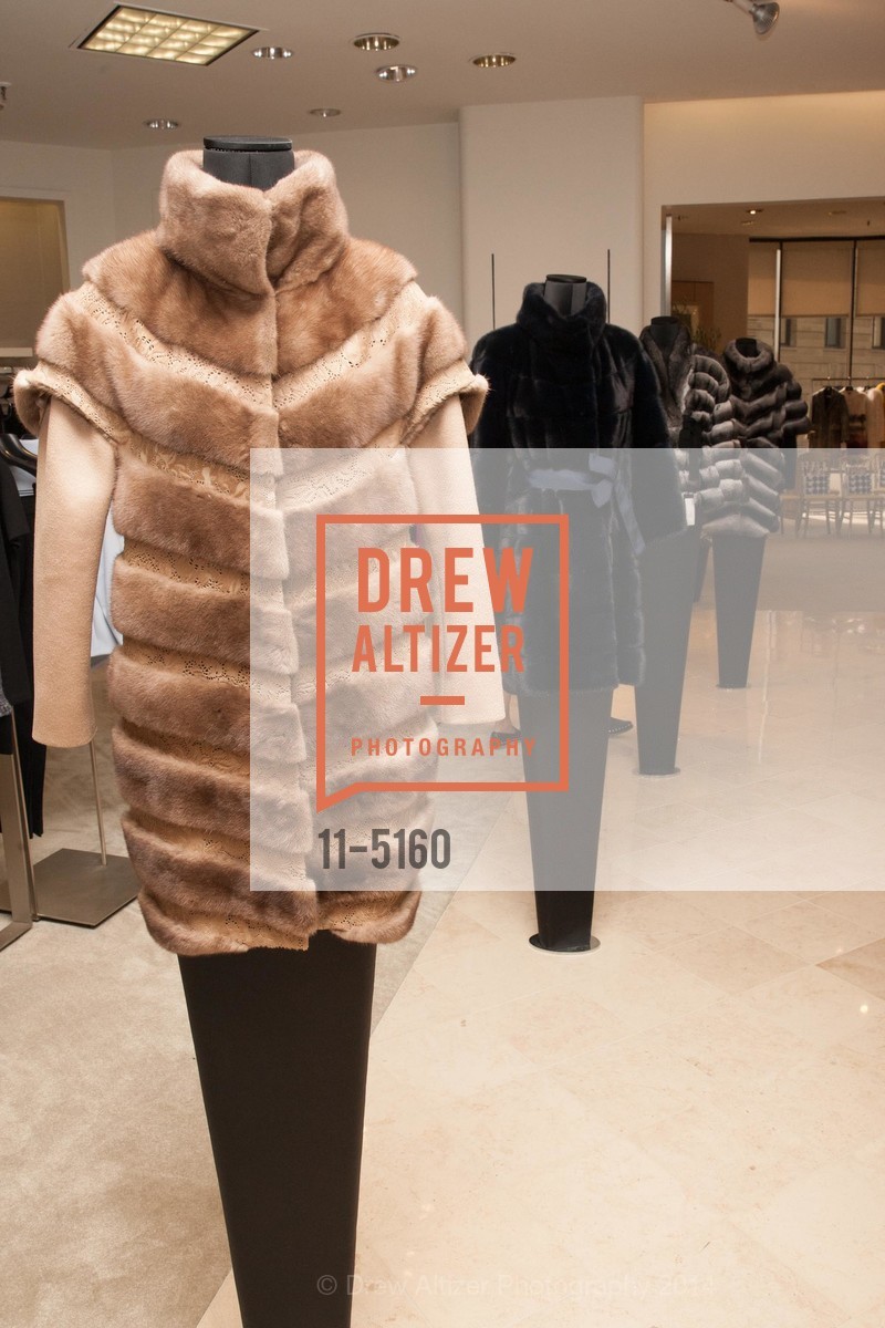 Atmosphere, SAKS 5TH AVENUE Fur Salon Presents Giuliana Teso Fur Collection, US, October 24th, 2014, Photo #11-5160 Atmosphere, Photo #11-5160