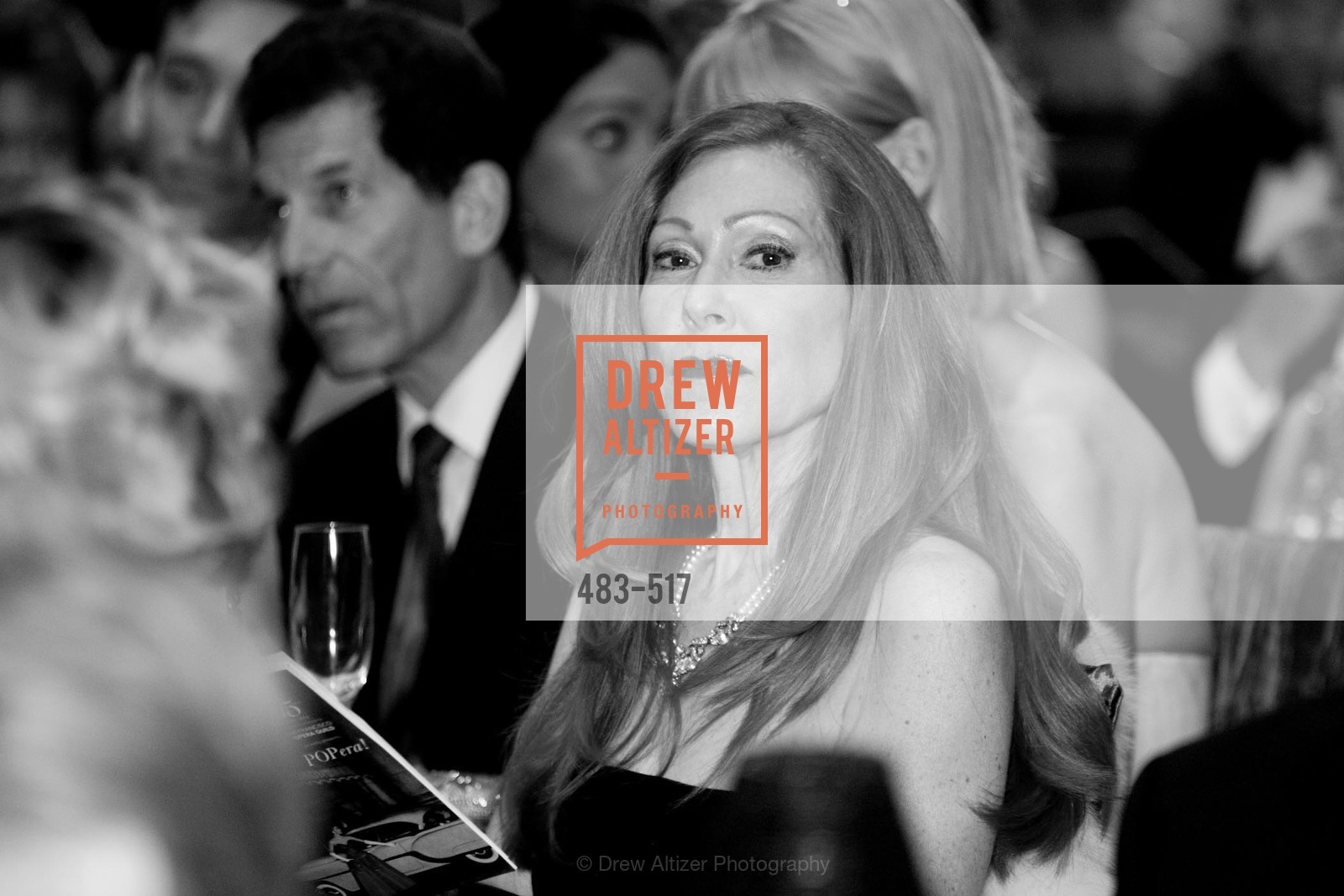 Teresa Medearis, SAN FRANCISCO OPERA GUILD Presents POPera, US. US, April 10th, 2014,Drew Altizer, Drew Altizer Photography, full-service agency, private events, San Francisco photographer, photographer california
