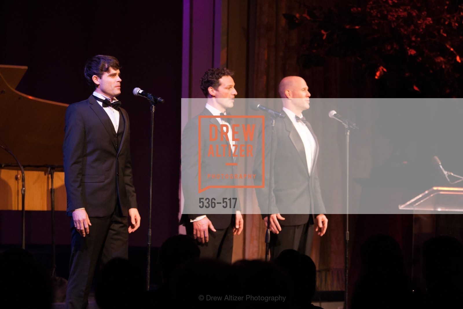 Performance By Romanza, SAN FRANCISCO OPERA GUILD Presents POPera, US. US, April 10th, 2014,Drew Altizer, Drew Altizer Photography, full-service event agency, private events, San Francisco photographer, photographer California