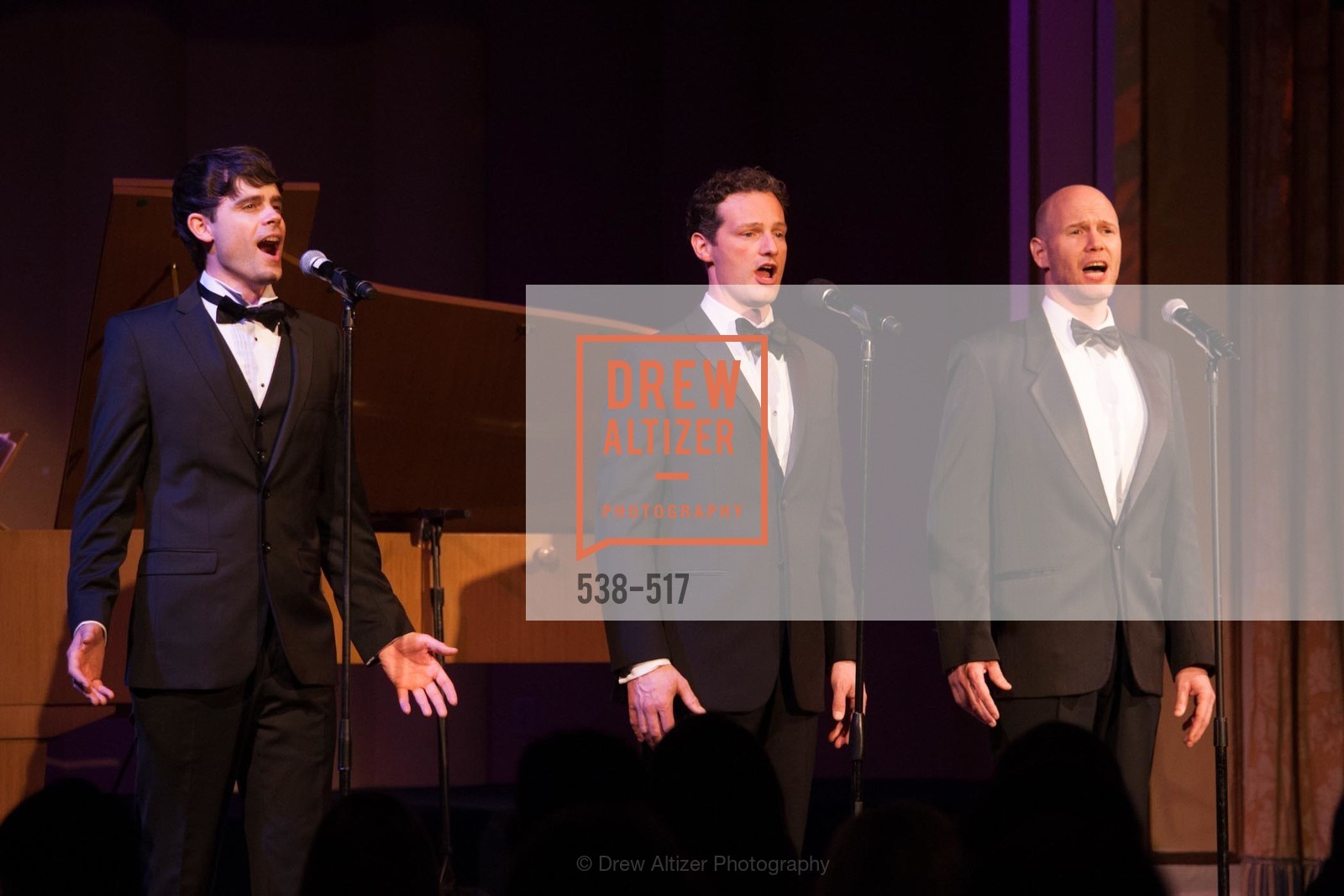 Performance By Romanza, SAN FRANCISCO OPERA GUILD Presents POPera, US. US, April 10th, 2014,Drew Altizer, Drew Altizer Photography, full-service agency, private events, San Francisco photographer, photographer california
