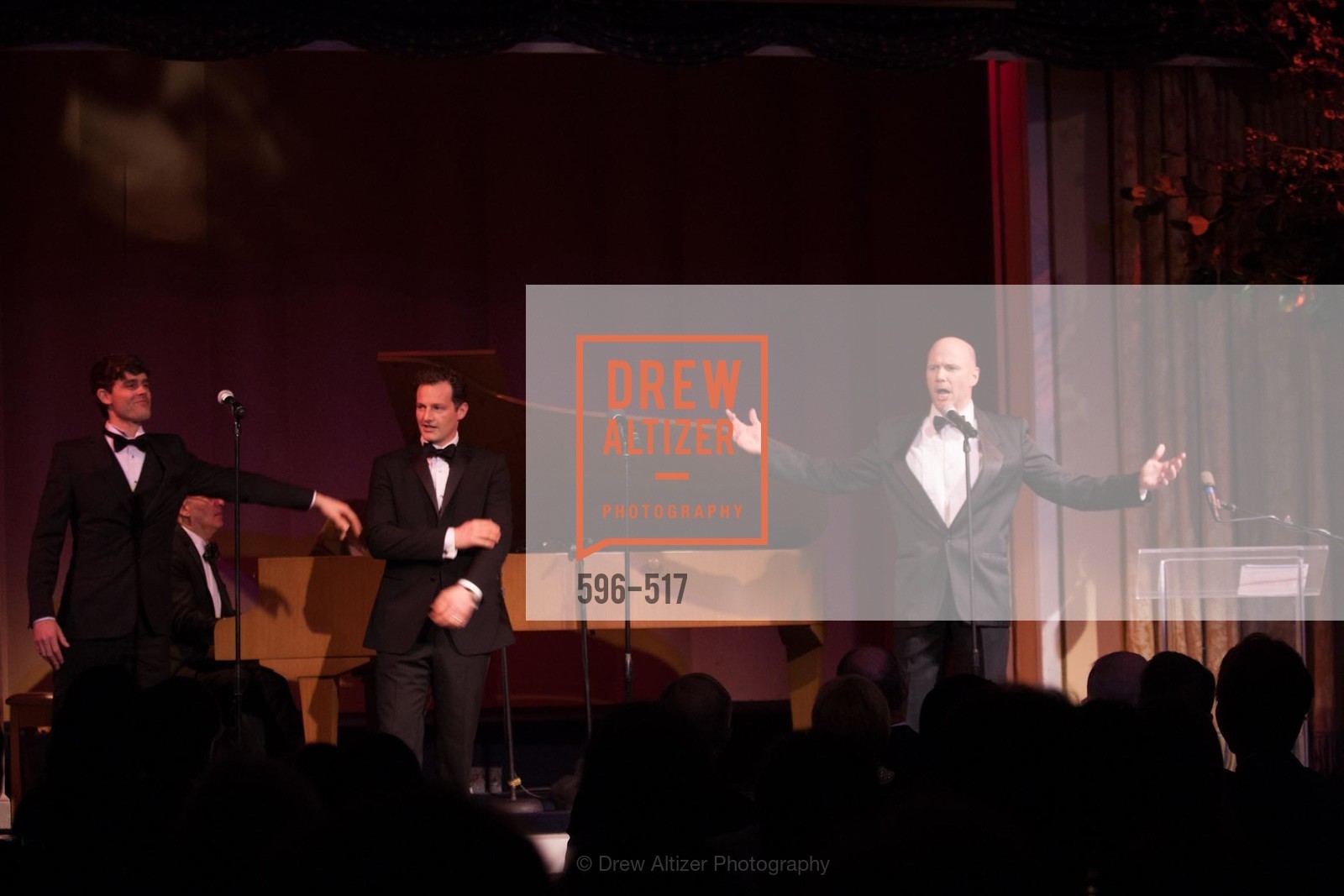 Performance By Romanza, SAN FRANCISCO OPERA GUILD Presents POPera, US. US, April 10th, 2014,Drew Altizer, Drew Altizer Photography, full-service agency, private events, San Francisco photographer, photographer california