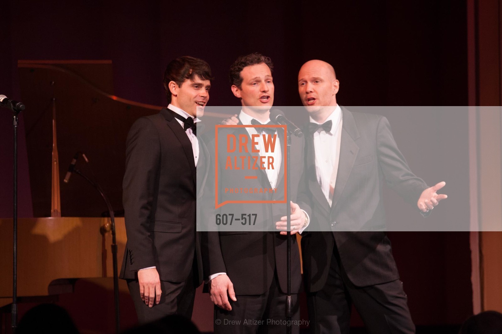 Performance By Romanza, SAN FRANCISCO OPERA GUILD Presents POPera, US. US, April 10th, 2014,Drew Altizer, Drew Altizer Photography, full-service agency, private events, San Francisco photographer, photographer california