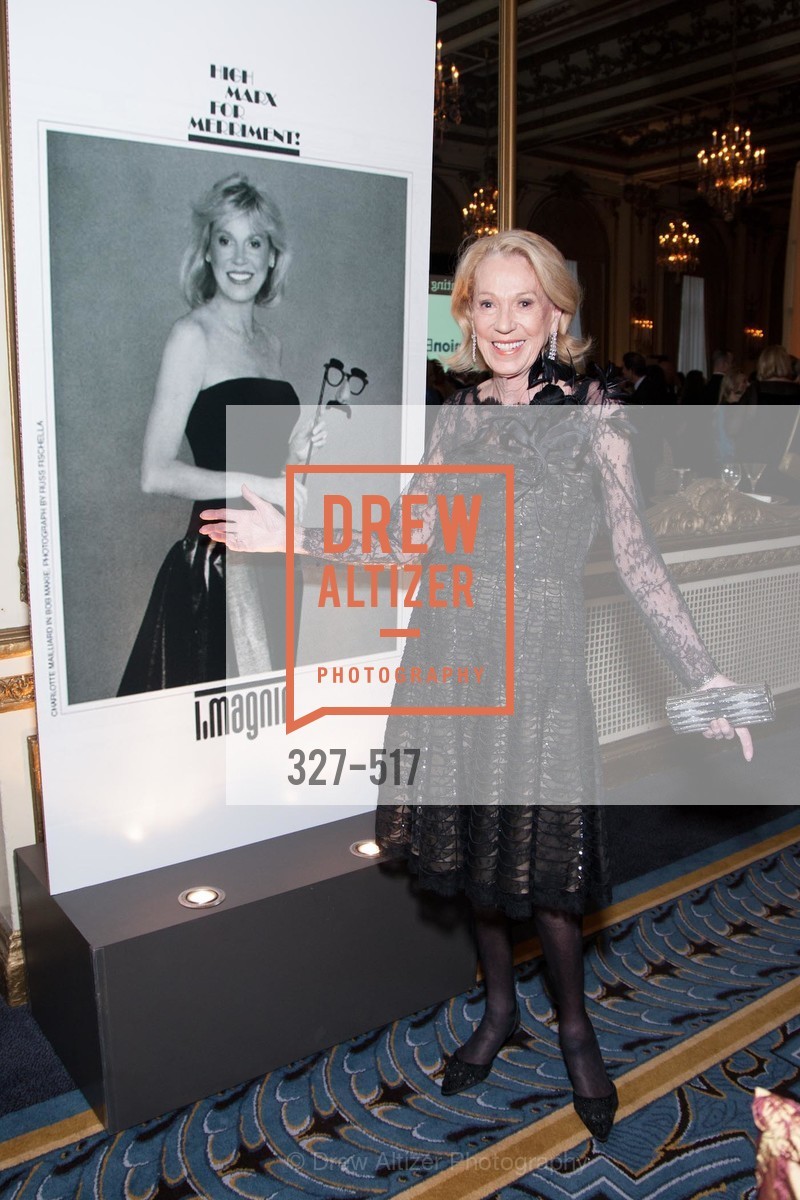Charlotte Shultz, SAN FRANCISCO OPERA GUILD Presents POPera, US. US, April 10th, 2014,Drew Altizer, Drew Altizer Photography, full-service agency, private events, San Francisco photographer, photographer california