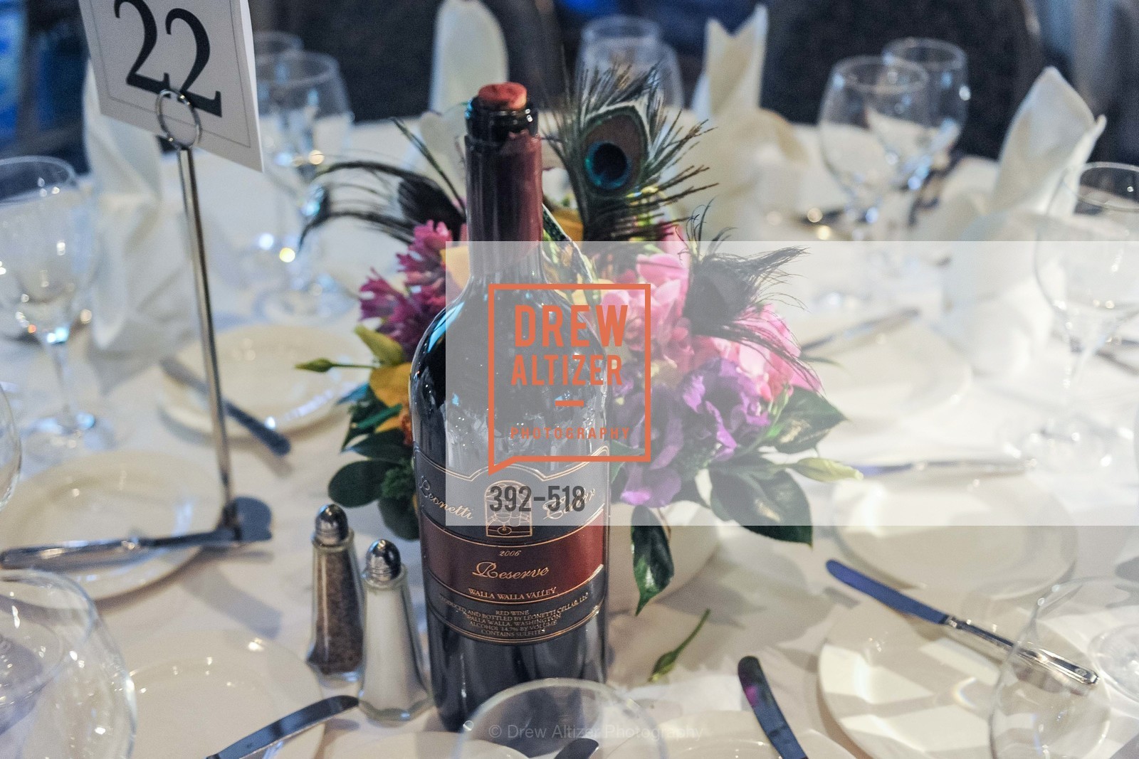 Atmosphere, MEROLA OPERA Spring Benefit 2014: A Night in New Orleans, US. Fairmont, April 12th, 2014,Drew Altizer, Drew Altizer Photography, full-service event agency, private events, San Francisco photographer, photographer California