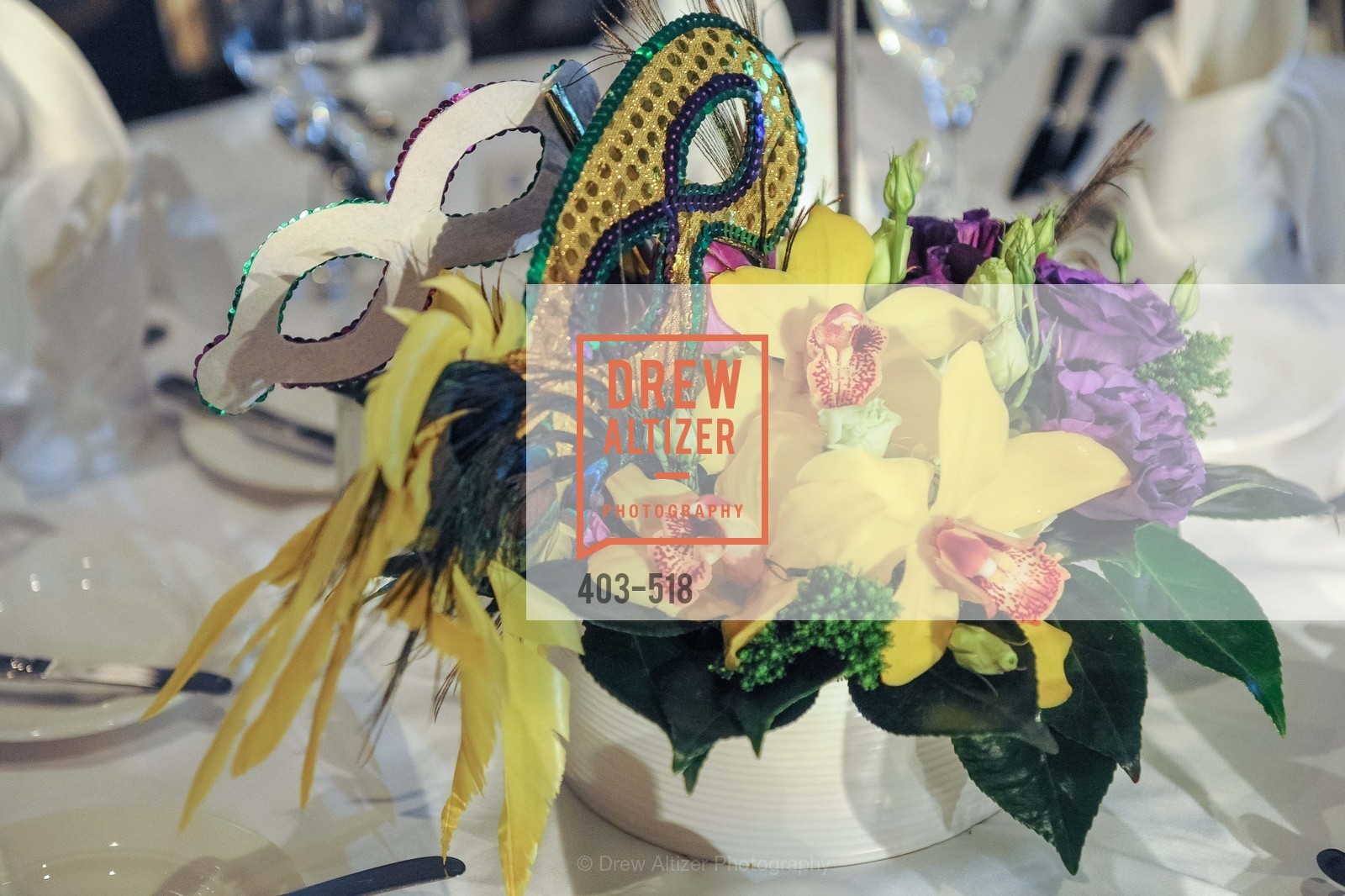 Atmosphere, MEROLA OPERA Spring Benefit 2014: A Night in New Orleans, US. Fairmont, April 12th, 2014,Drew Altizer, Drew Altizer Photography, full-service agency, private events, San Francisco photographer, photographer california