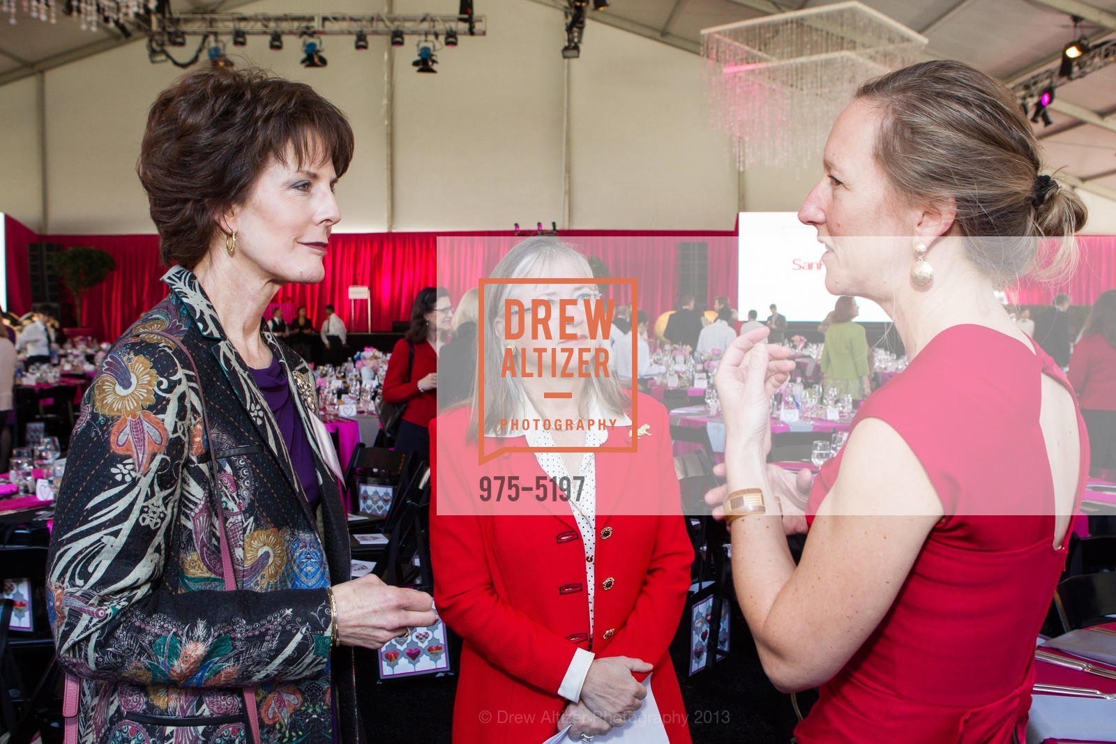 Ruth Ann Stumpf, Brenda Bottum, Rochelle Dicker, 2013 HEROES & HEARTS LUNCHEON benefiting San Francisco General Hospital Foundation, US, February 14th, 2013, Photo #975-5197 Ruth Ann Stumpf, Brenda Bottum, Rochelle Dicker, Photo #975-5197