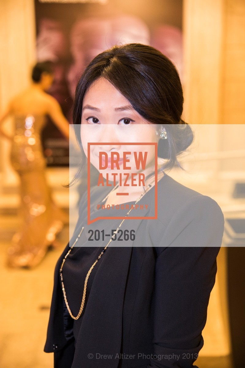 Yiwen Li, Opening Night Gala for the TERRACOTTA EXHIBITION, US, February 20th, 2013, Photo #201-5266 Yiwen Li, Photo #201-5266