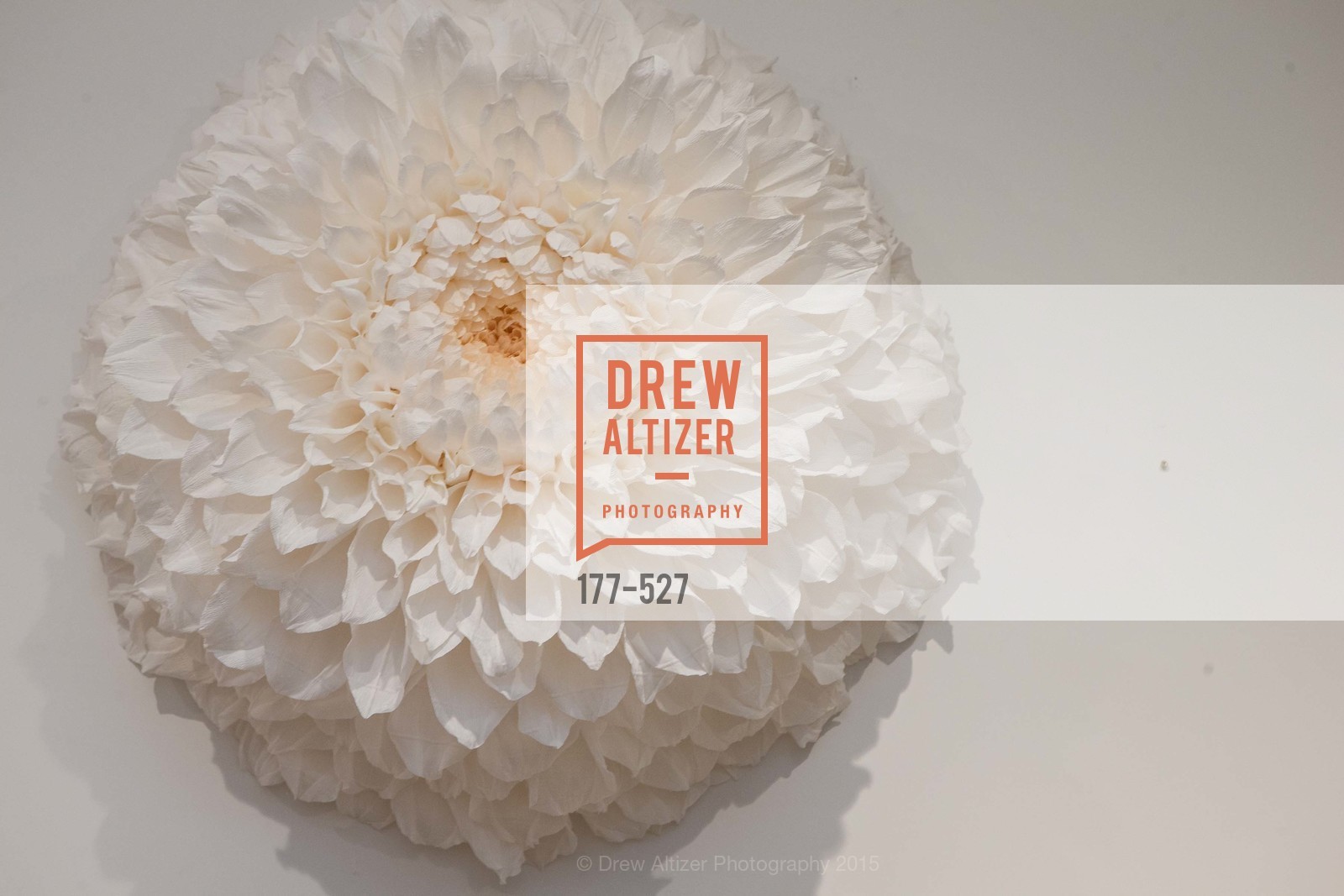 Atmosphere, Parisian Design Showcase: Maison et Objet preview, Jessie Black Boutique. 3252 Sacramento St, November 12th, 2015,Drew Altizer, Drew Altizer Photography, full-service event agency, private events, San Francisco photographer, photographer California