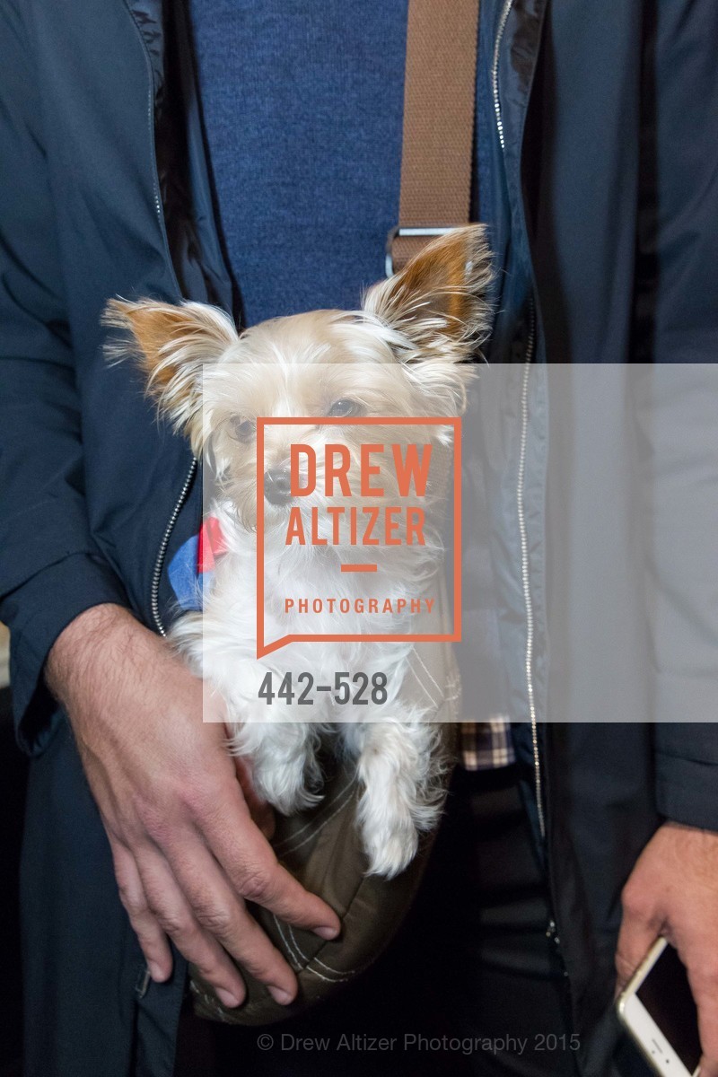 Chloe, Jay Jeffers for Arteriors Launch, Jay Jeffers - The Store. 1035 Post St, November 12th, 2015,Drew Altizer, Drew Altizer Photography, full-service agency, private events, San Francisco photographer, photographer california