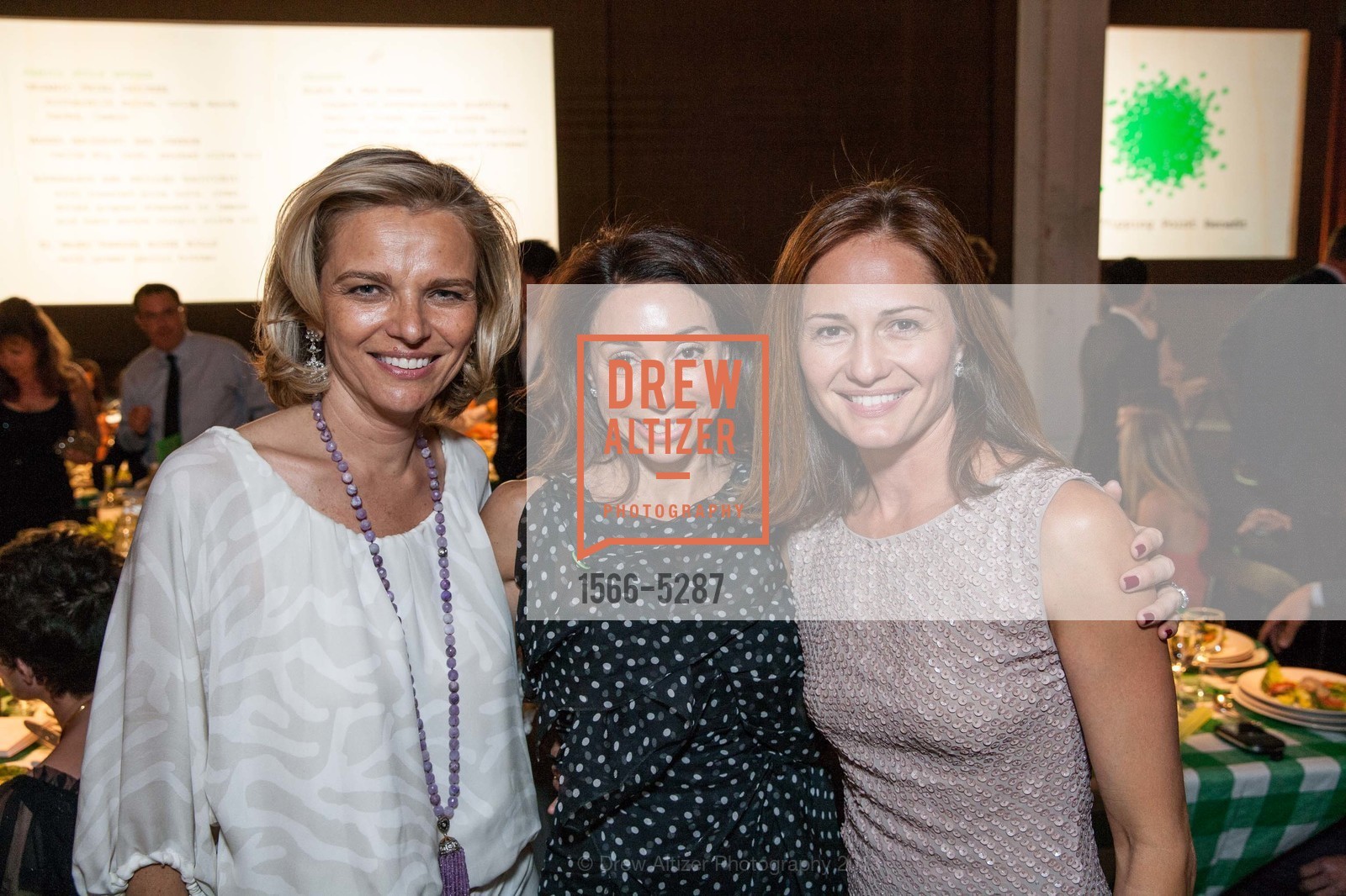 Leigh Matthes, Gina Peterson, Emilia Buchanan, TIPPING POINT Benefit 2013, US, May 2nd, 2013, Photo #1566-5287 Leigh Matthes, Gina Peterson, Emilia Buchanan, Photo #1566-5287