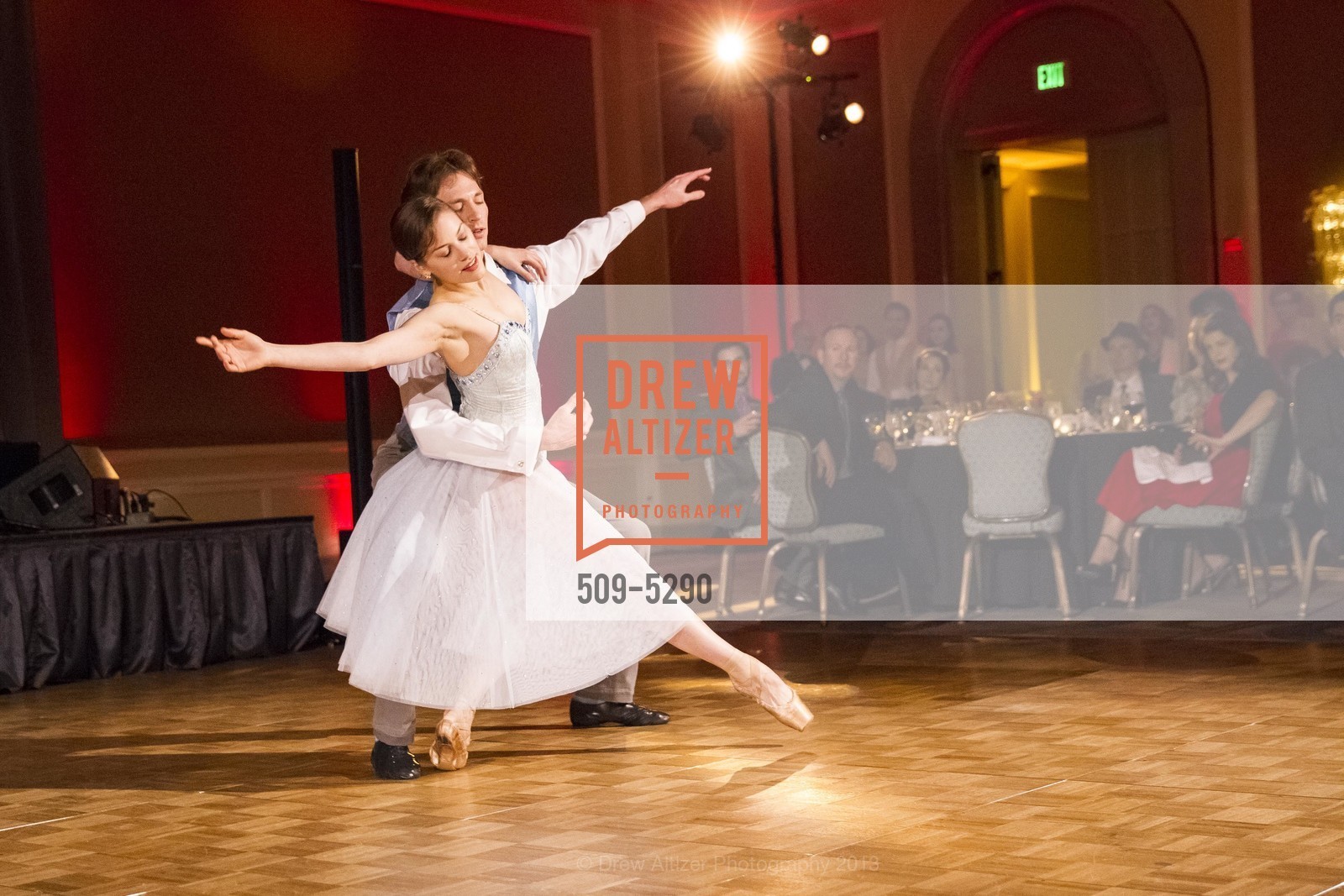 Performance, SMUIN GALA: Fly Me to the Moon 2013, US, January 26th, 2013, Photo #509-5290 Performance, Photo #509-5290
