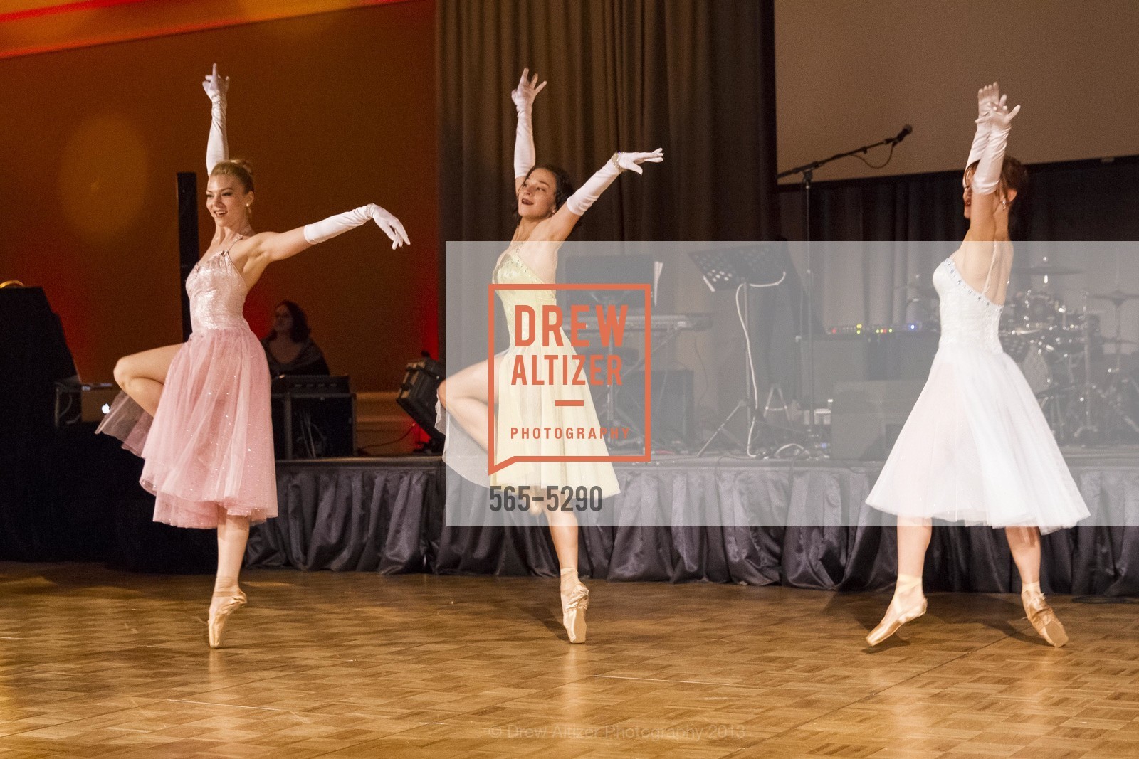 Performance, SMUIN GALA: Fly Me to the Moon 2013, US, January 26th, 2013, Photo #565-5290 Performance, Photo #565-5290