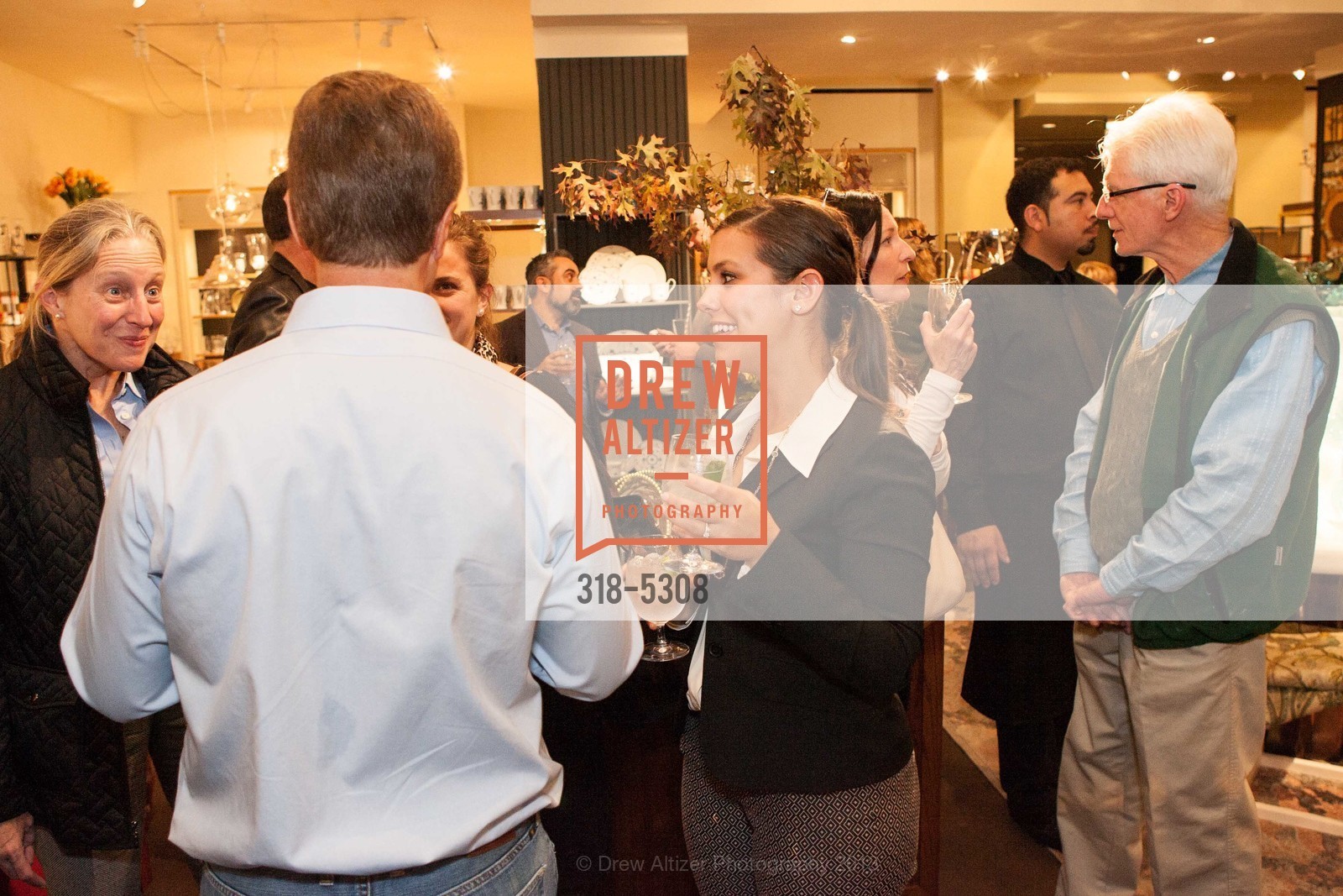 SUZANNE TUCKER INTERIORS: The Romance of Design Book Signing, US, November 19th, 2013, Photo #318-5308 Photo #318-5308