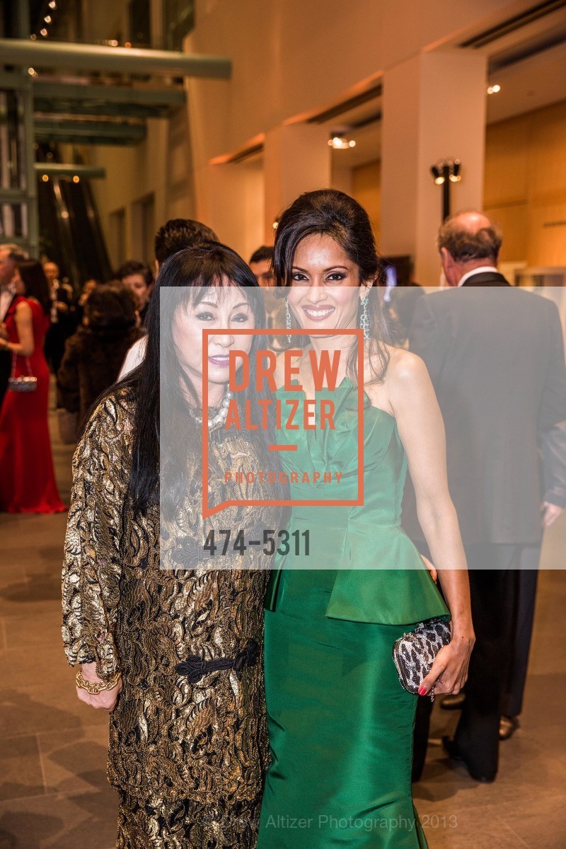 Suno Kay Osterweis, Komal Shah, Opening Night Gala for the TERRACOTTA EXHIBITION, US, February 19th, 2013, Photo #474-5311 Suno Kay Osterweis, Komal Shah, Photo #474-5311