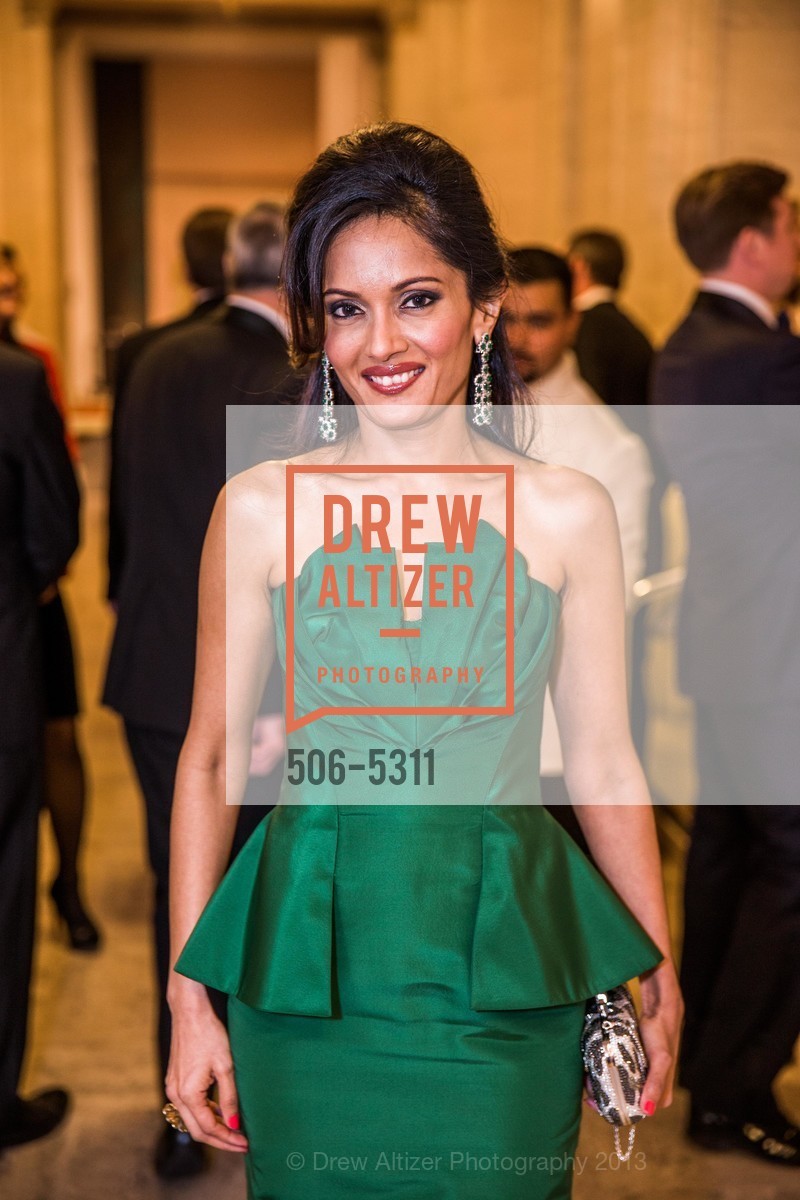 Komal Shah, Opening Night Gala for the TERRACOTTA EXHIBITION, US, February 19th, 2013, Photo #506-5311 Komal Shah, Photo #506-5311