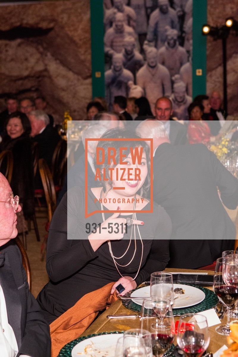 Opening Night Gala for the TERRACOTTA EXHIBITION, US, February 19th, 2013, Photo #931-5311 Photo #931-5311